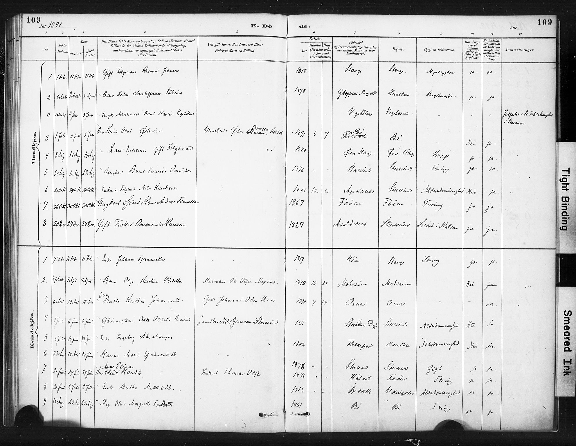 Torvastad sokneprestkontor, AV/SAST-A -101857/H/Ha/Haa/L0015: Parish register (official) no. A 14, 1888-1899, p. 109