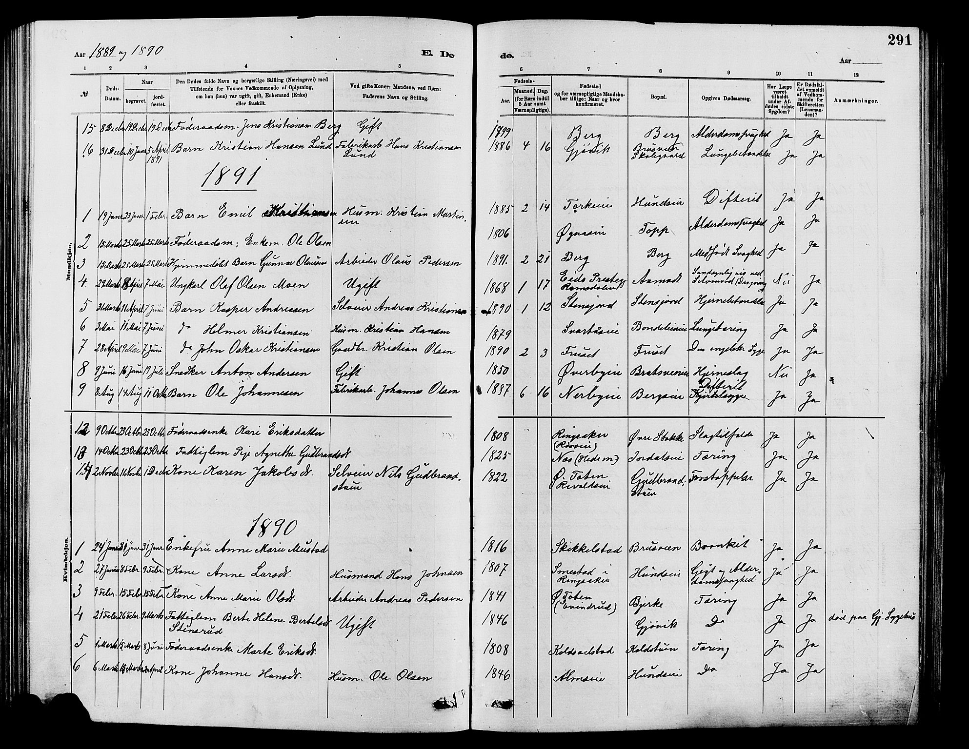 Vardal prestekontor, SAH/PREST-100/H/Ha/Hab/L0007: Parish register (copy) no. 7 /1, 1881-1895, p. 291