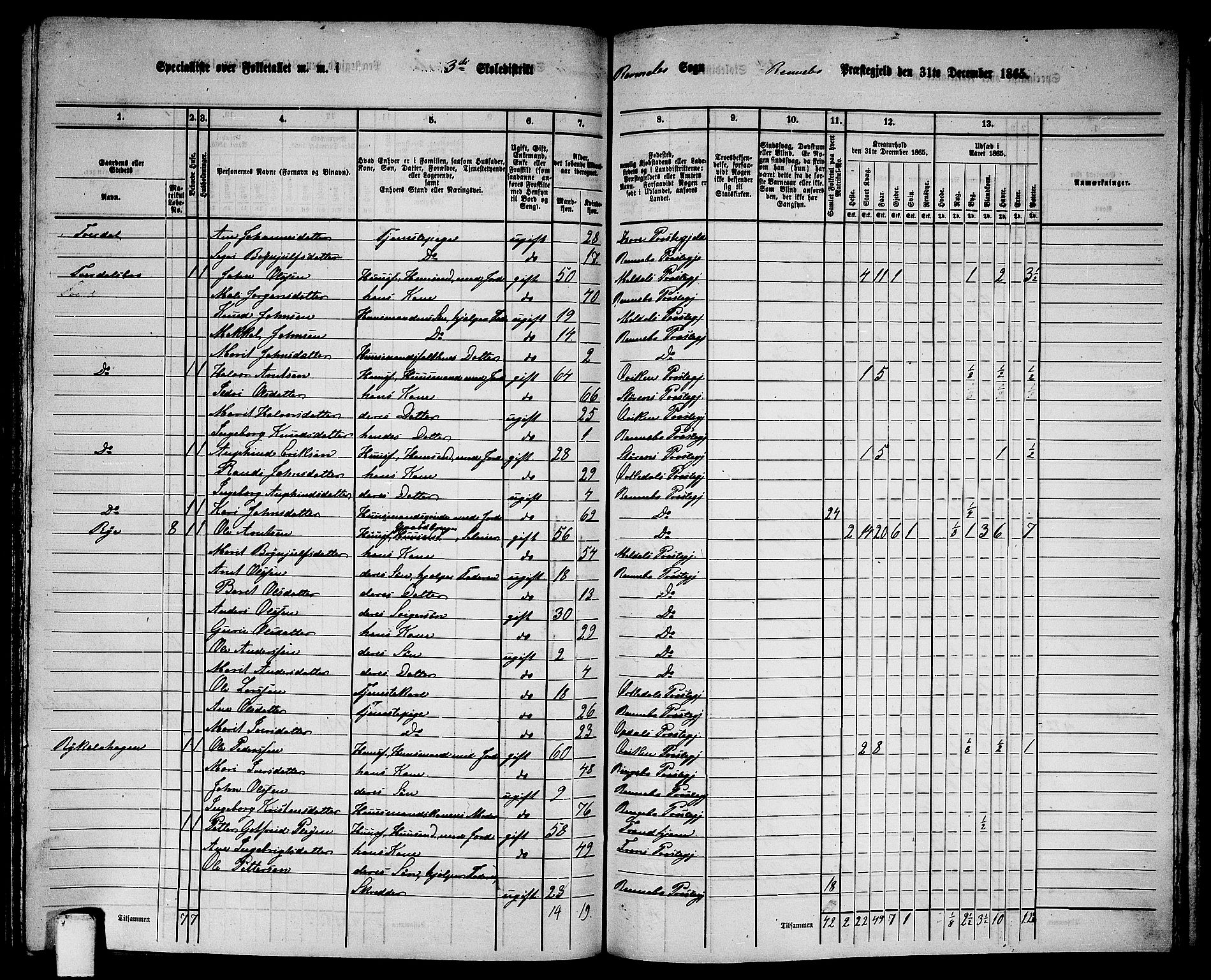 RA, 1865 census for Rennebu, 1865, p. 44