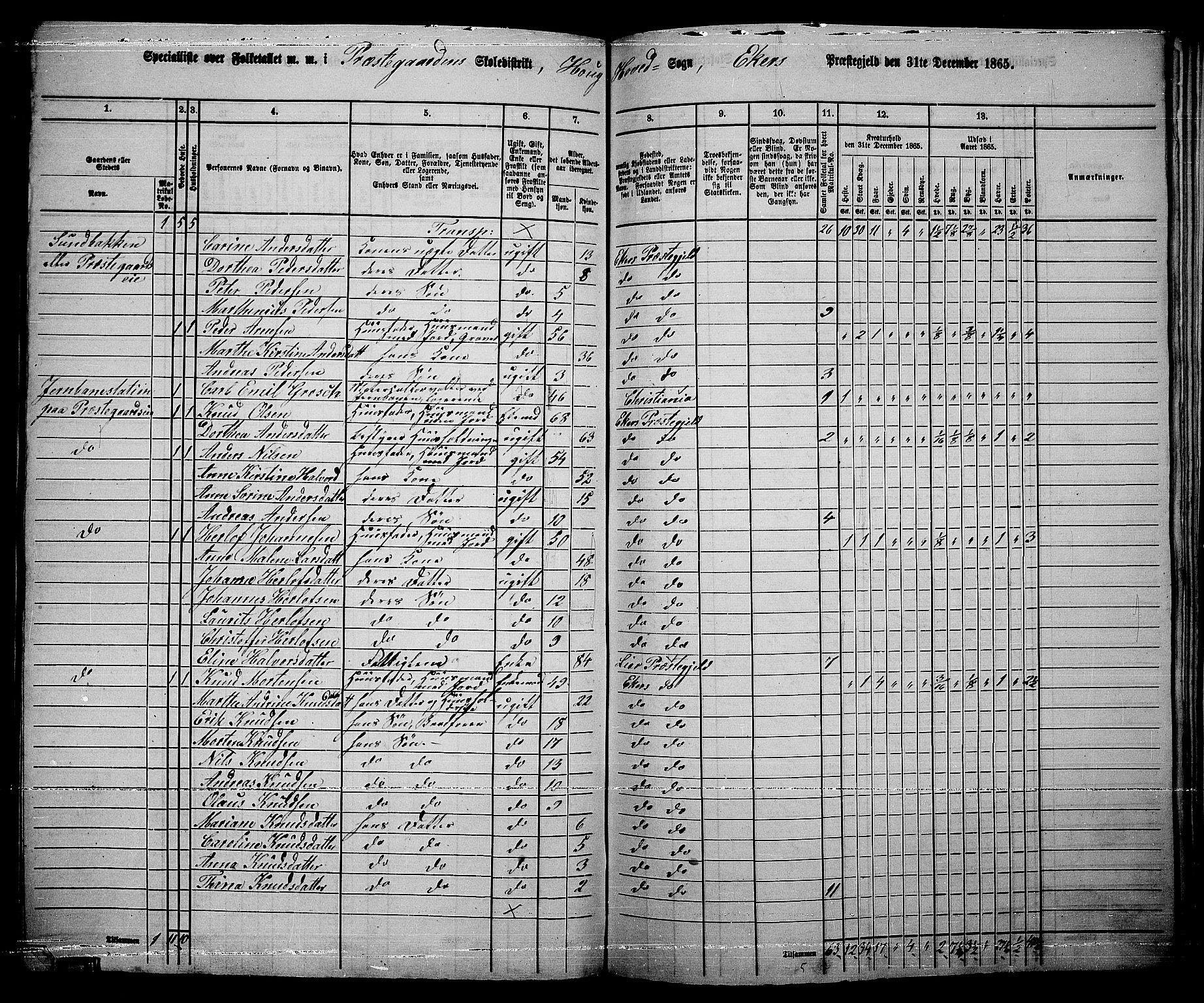 RA, 1865 census for Eiker, 1865, p. 174