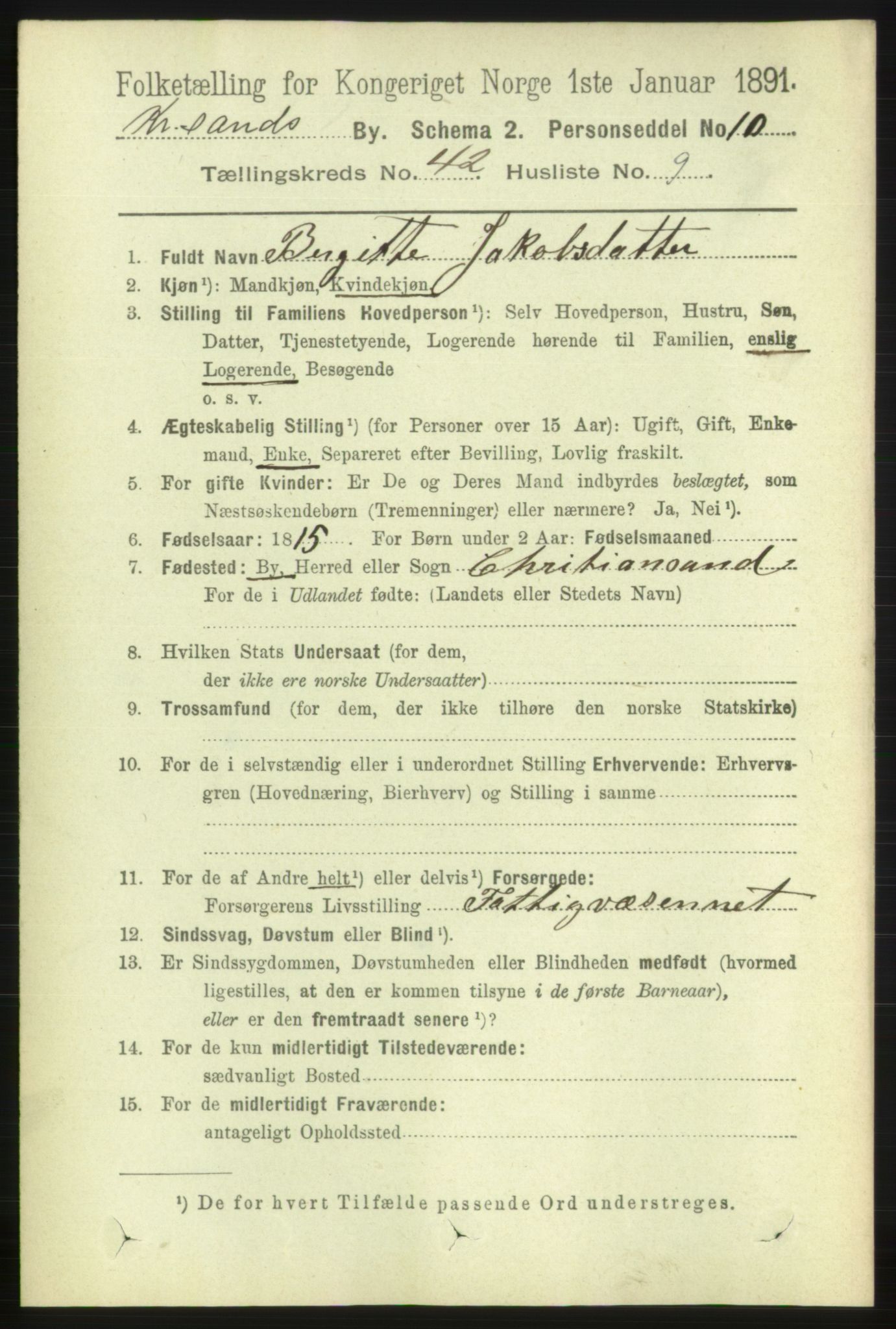 RA, 1891 census for 1001 Kristiansand, 1891, p. 13155