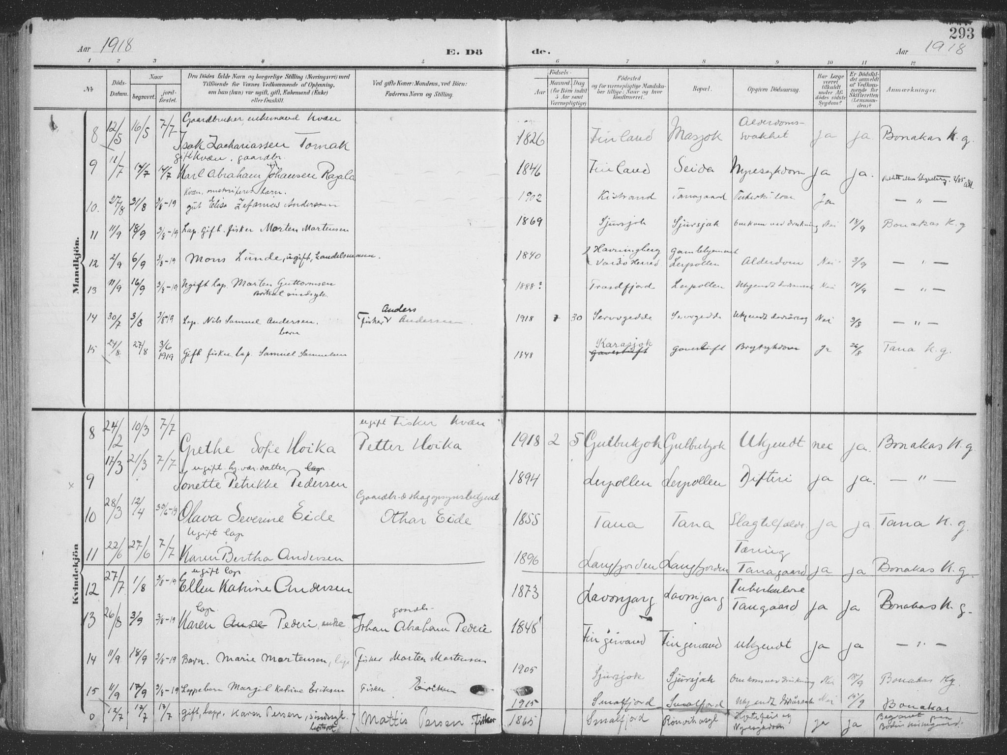 Tana sokneprestkontor, AV/SATØ-S-1334/H/Ha/L0007kirke: Parish register (official) no. 7, 1904-1918, p. 293