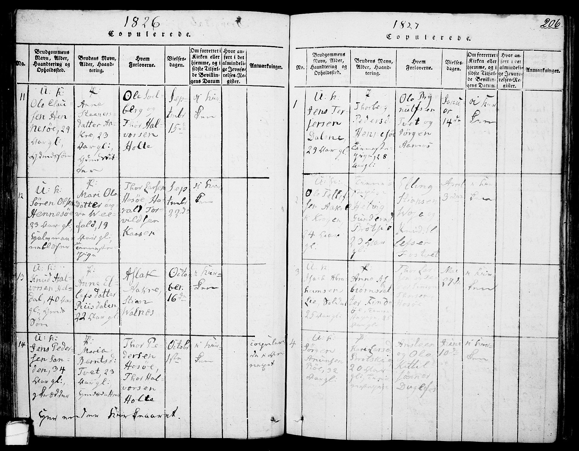 Drangedal kirkebøker, SAKO/A-258/F/Fa/L0005: Parish register (official) no. 5 /1, 1814-1831, p. 206