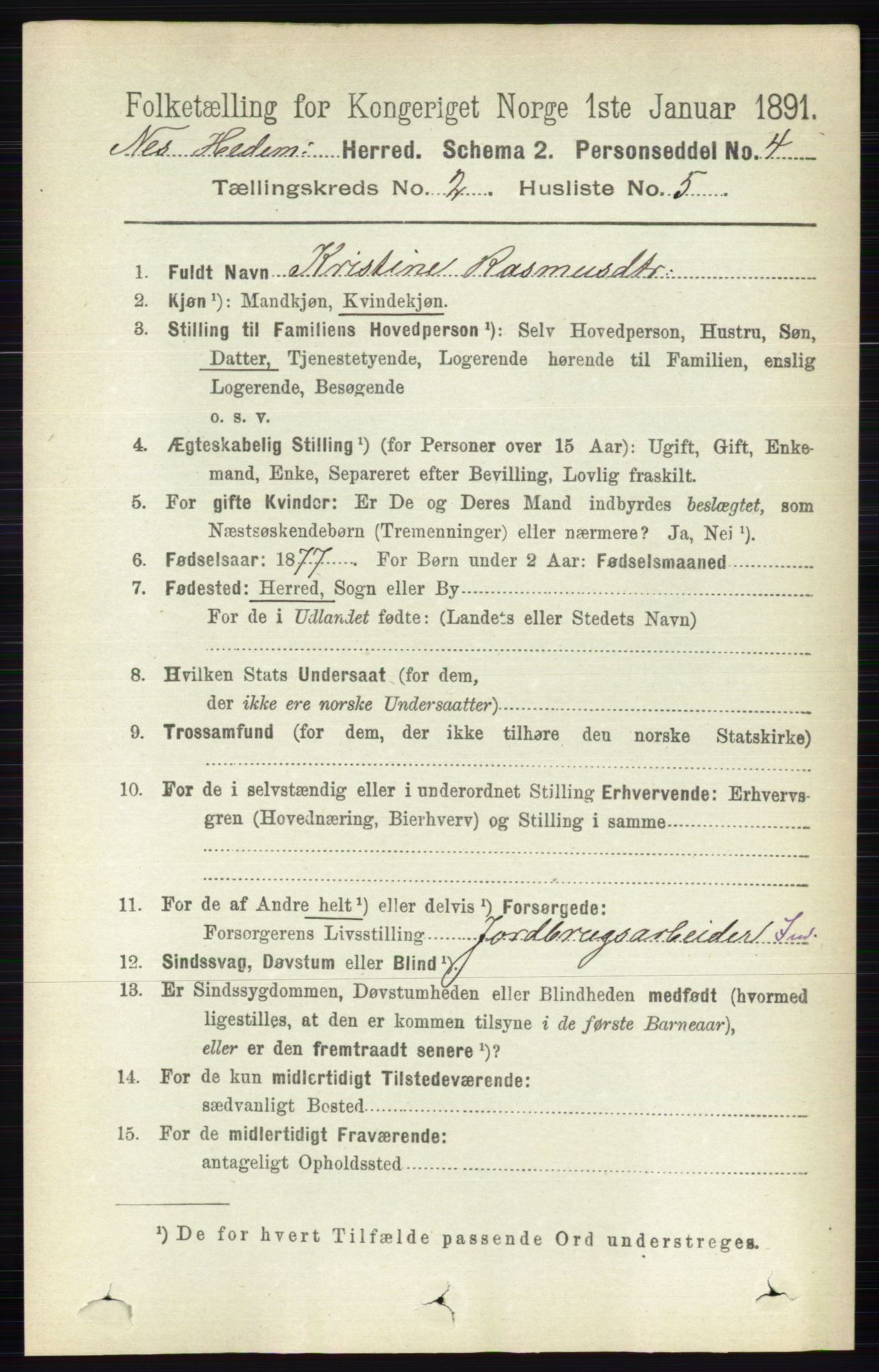 RA, 1891 census for 0411 Nes, 1891, p. 1104