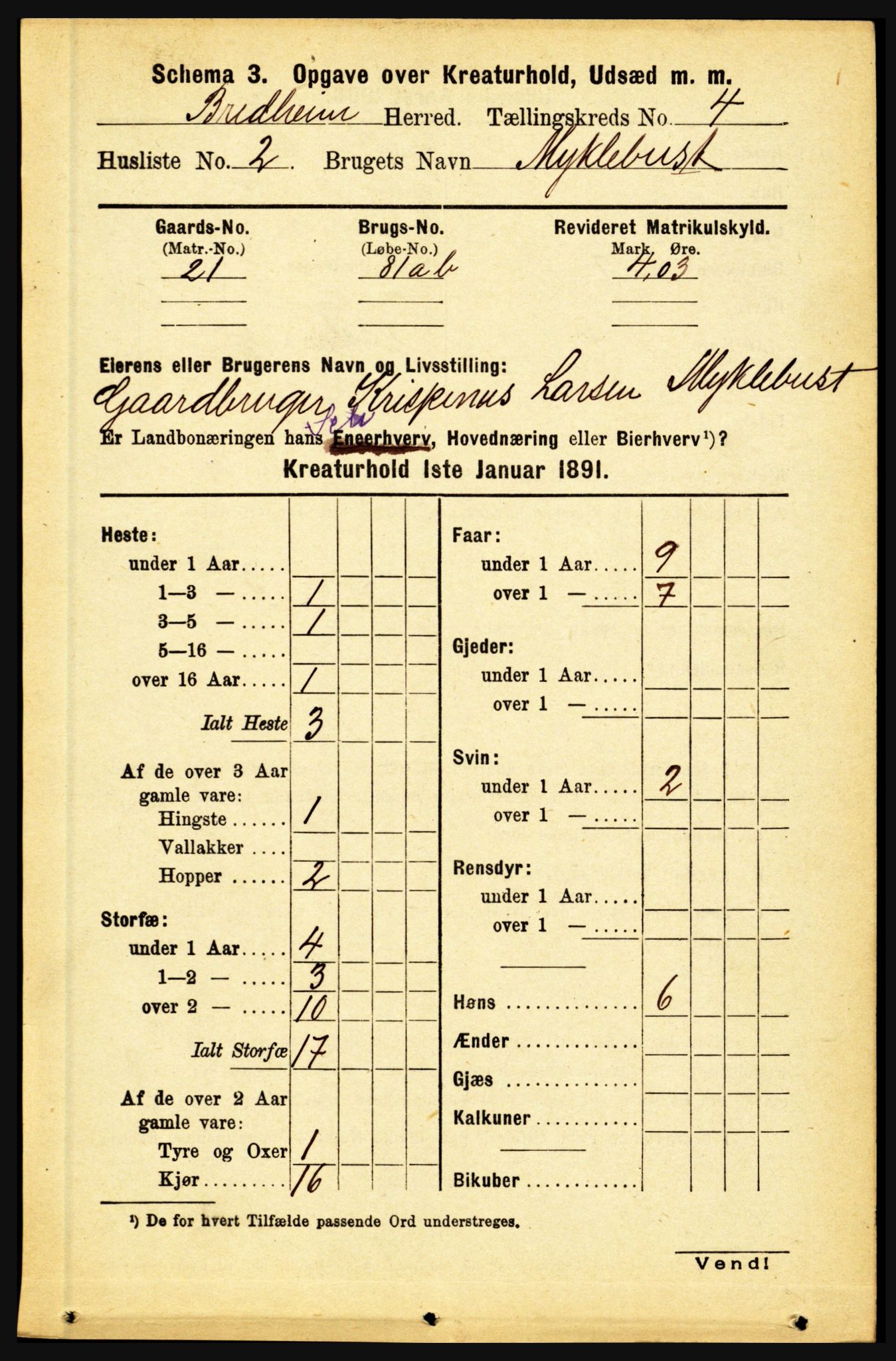 RA, 1891 census for 1446 Breim, 1891, p. 2664