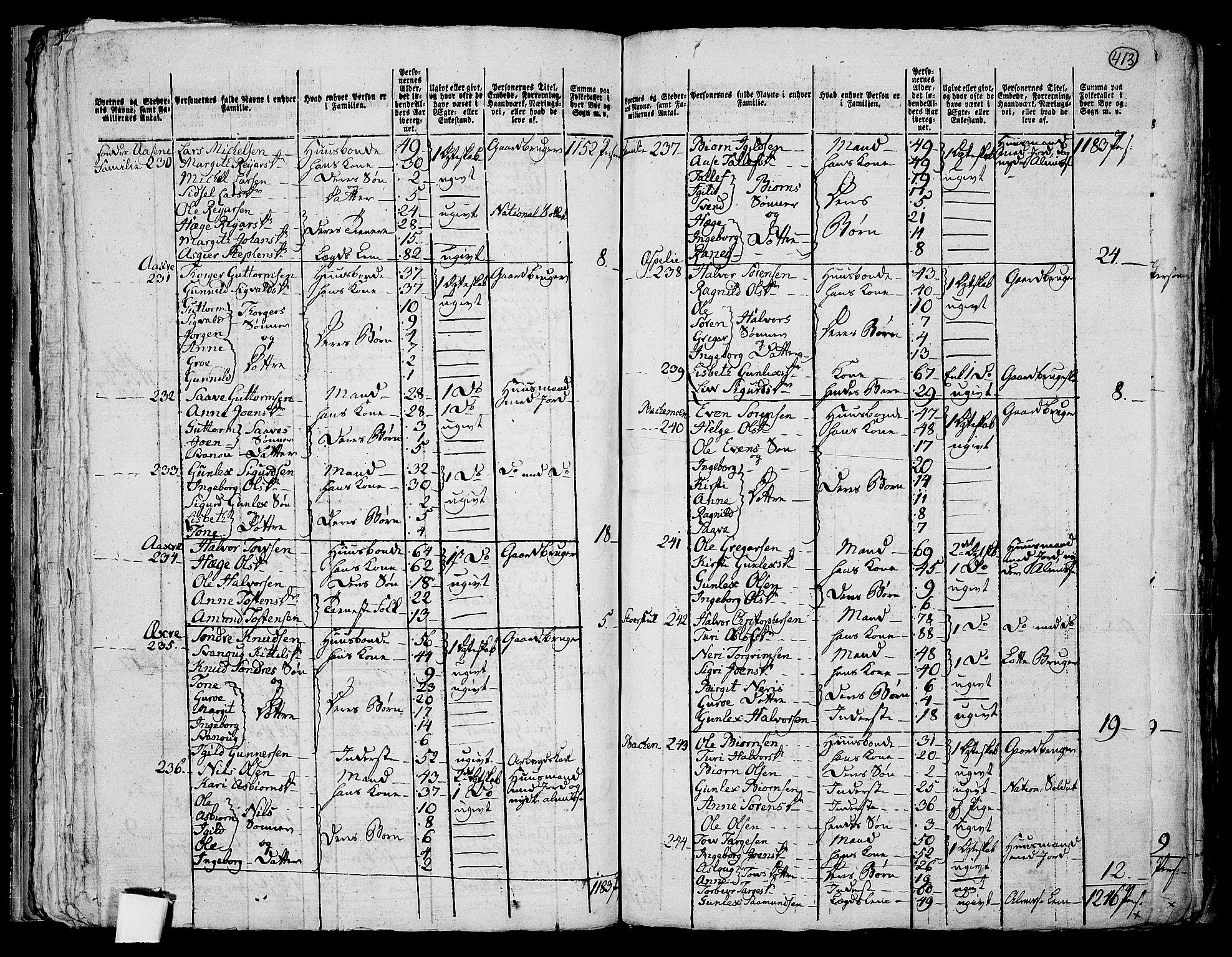 RA, 1801 census for 0828P Seljord, 1801, p. 412b-413a