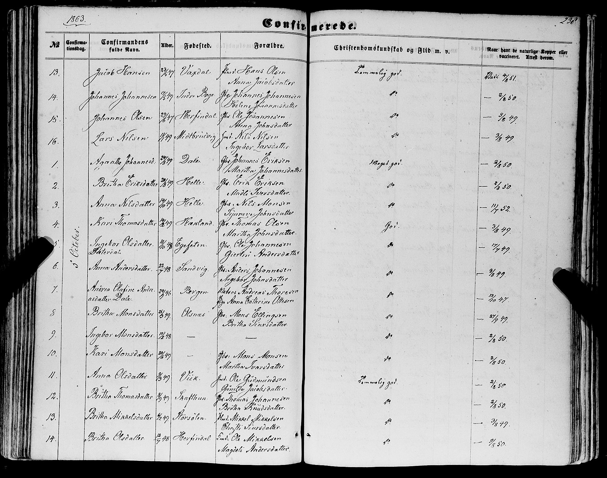 Haus sokneprestembete, AV/SAB-A-75601/H/Haa: Parish register (official) no. A 17, 1858-1870, p. 238