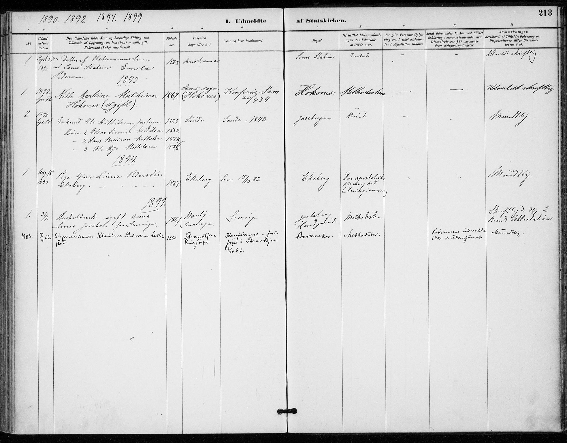 Sem kirkebøker, AV/SAKO-A-5/F/Fa/L0011: Parish register (official) no. I 11, 1888-1904, p. 213