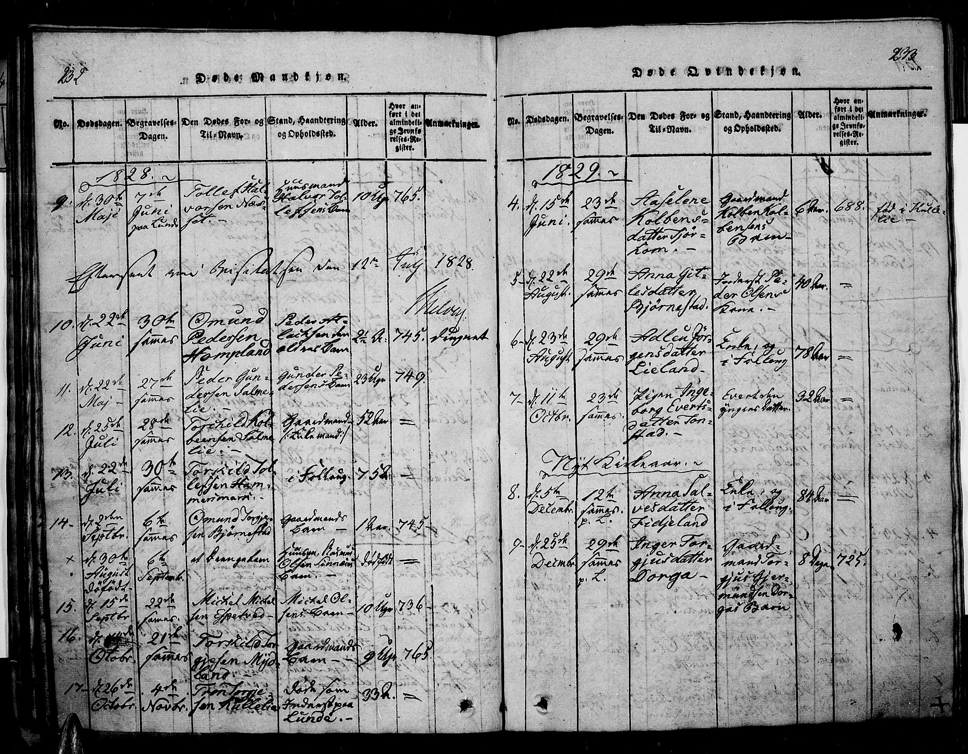 Sirdal sokneprestkontor, AV/SAK-1111-0036/F/Fa/Fab/L0001: Parish register (official) no. A 1, 1815-1834, p. 232-233