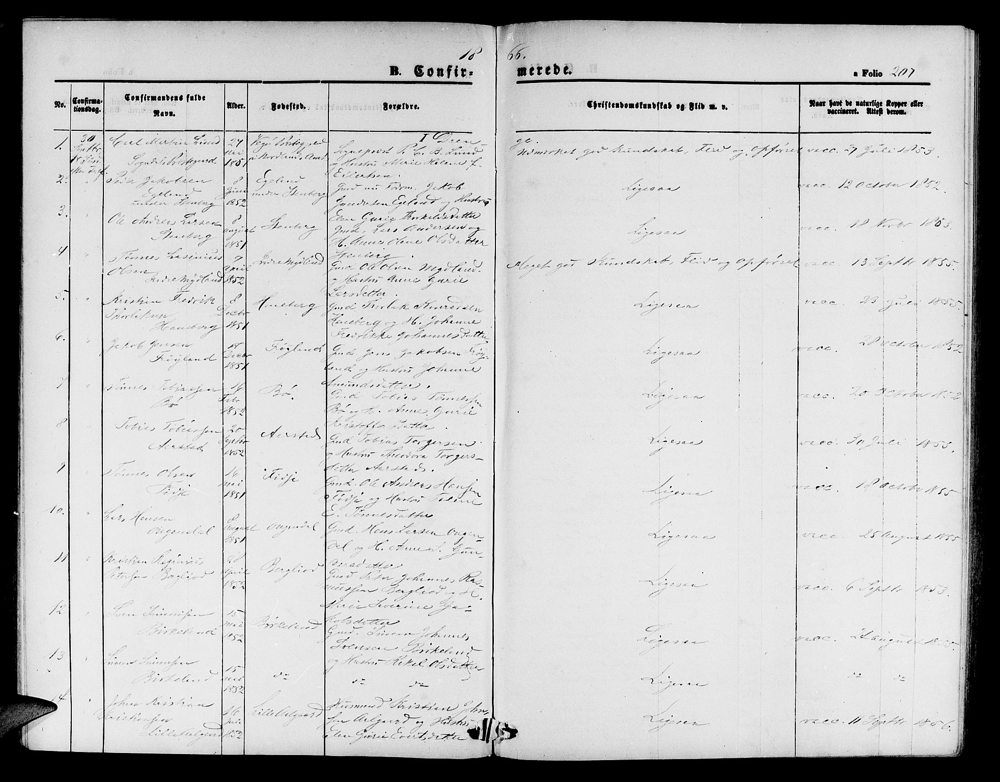 Sokndal sokneprestkontor, SAST/A-101808: Parish register (copy) no. B 3, 1865-1879, p. 207