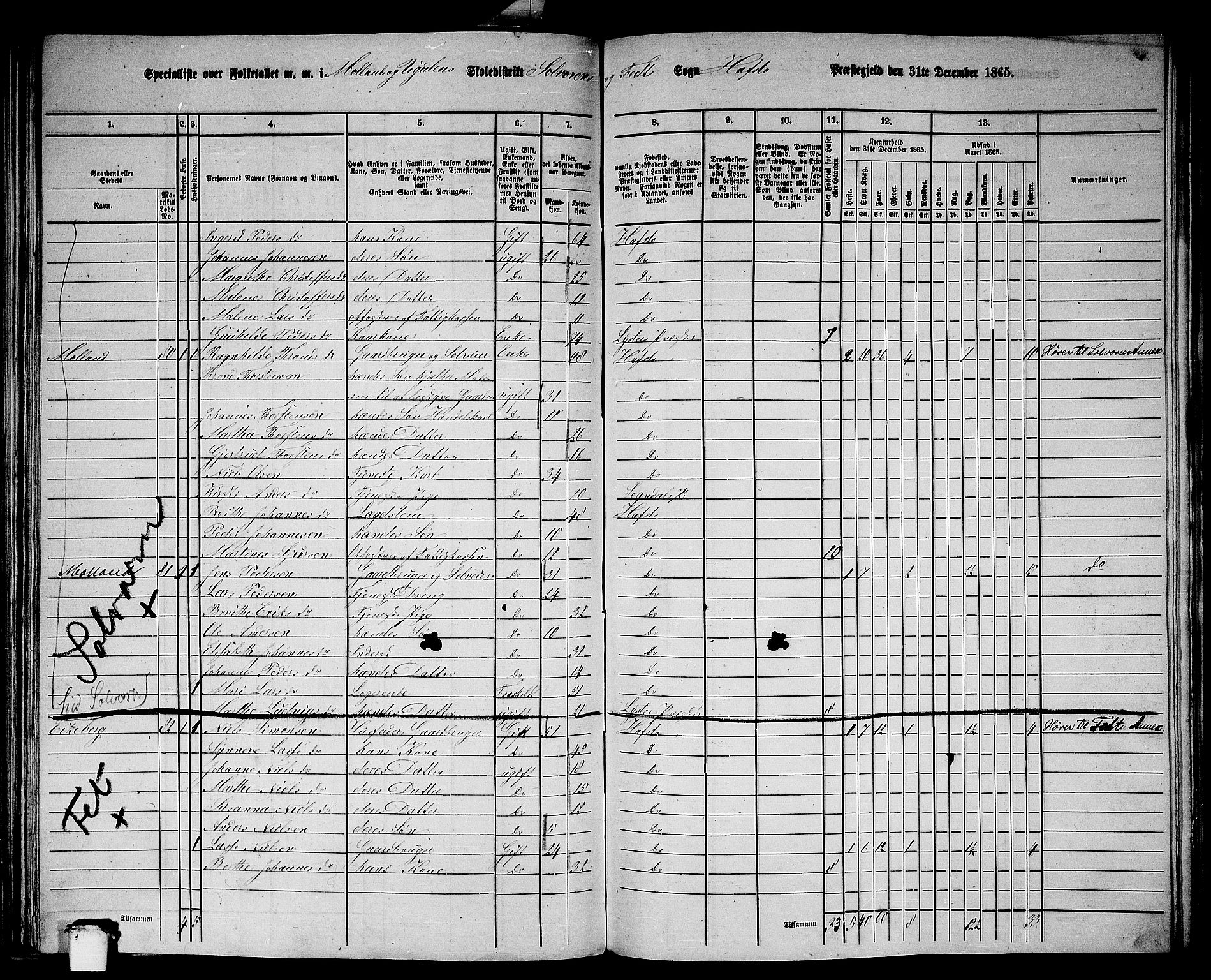 RA, 1865 census for Hafslo, 1865, p. 101