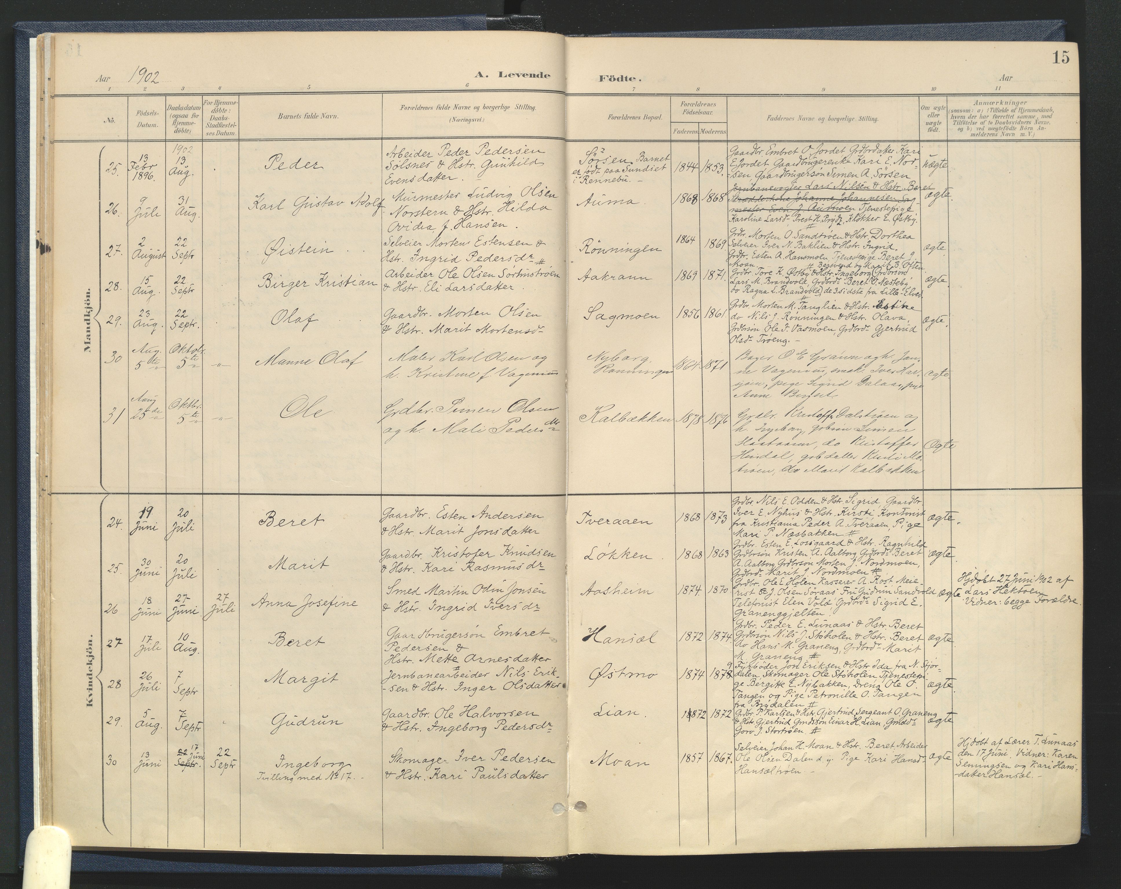 Tynset prestekontor, AV/SAH-PREST-058/H/Ha/Haa/L0025: Parish register (official) no. 25, 1900-1914, p. 15