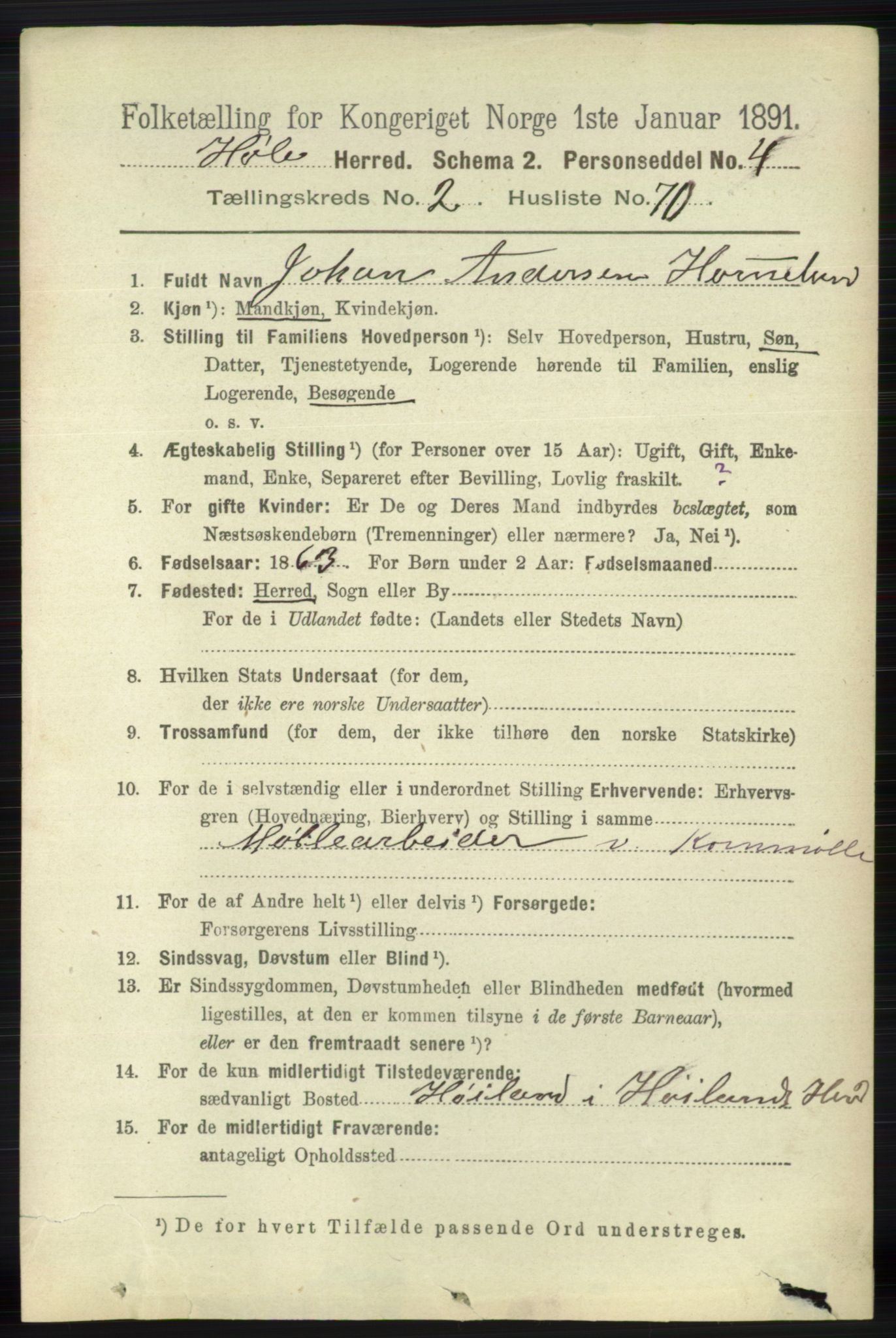 RA, 1891 census for 1128 Høle, 1891, p. 619