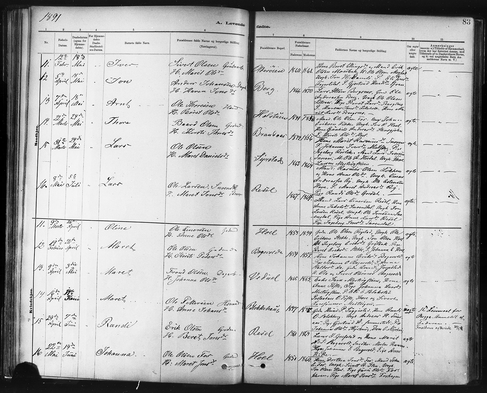 Ministerialprotokoller, klokkerbøker og fødselsregistre - Sør-Trøndelag, AV/SAT-A-1456/672/L0857: Parish register (official) no. 672A09, 1882-1893, p. 83