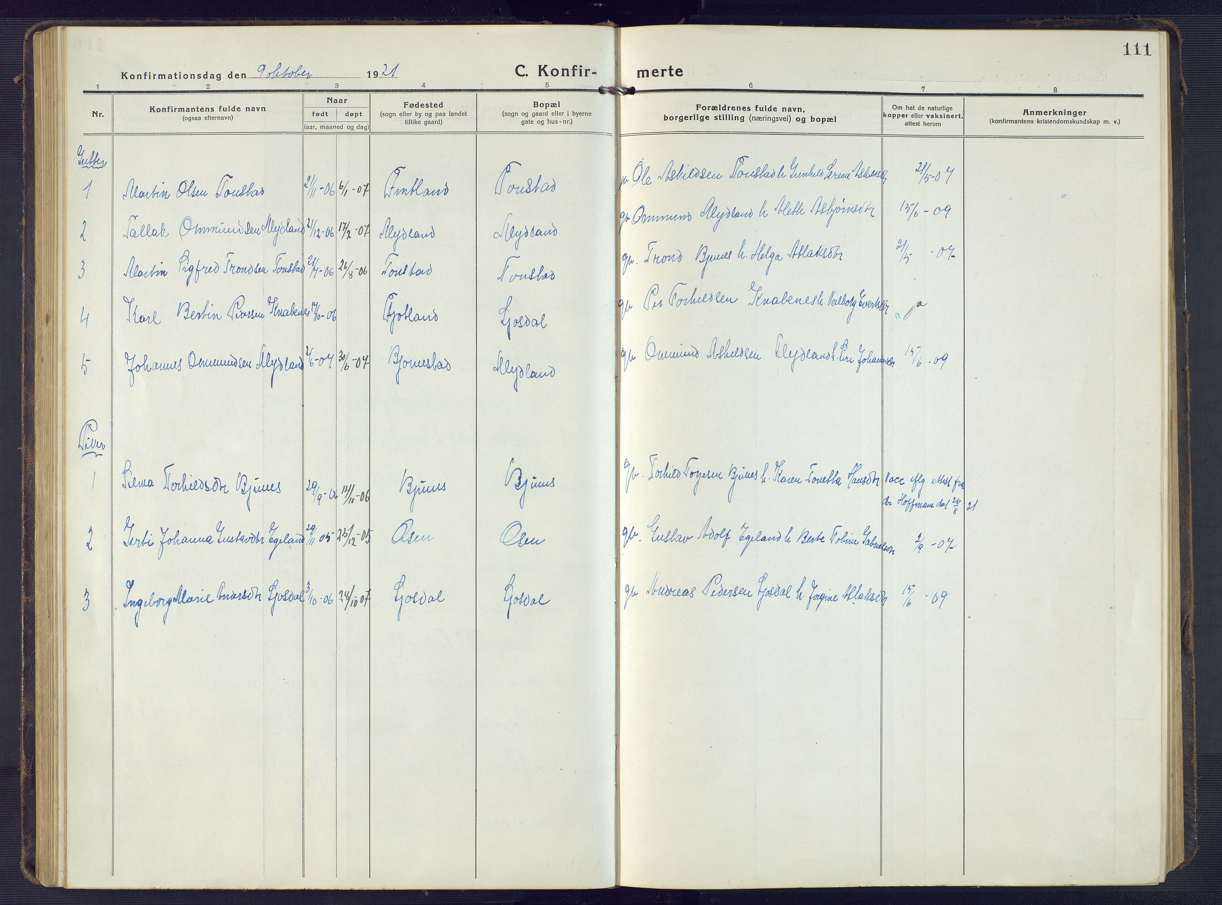 Sirdal sokneprestkontor, SAK/1111-0036/F/Fb/Fbb/L0005: Parish register (copy) no. B 5, 1916-1960, p. 111