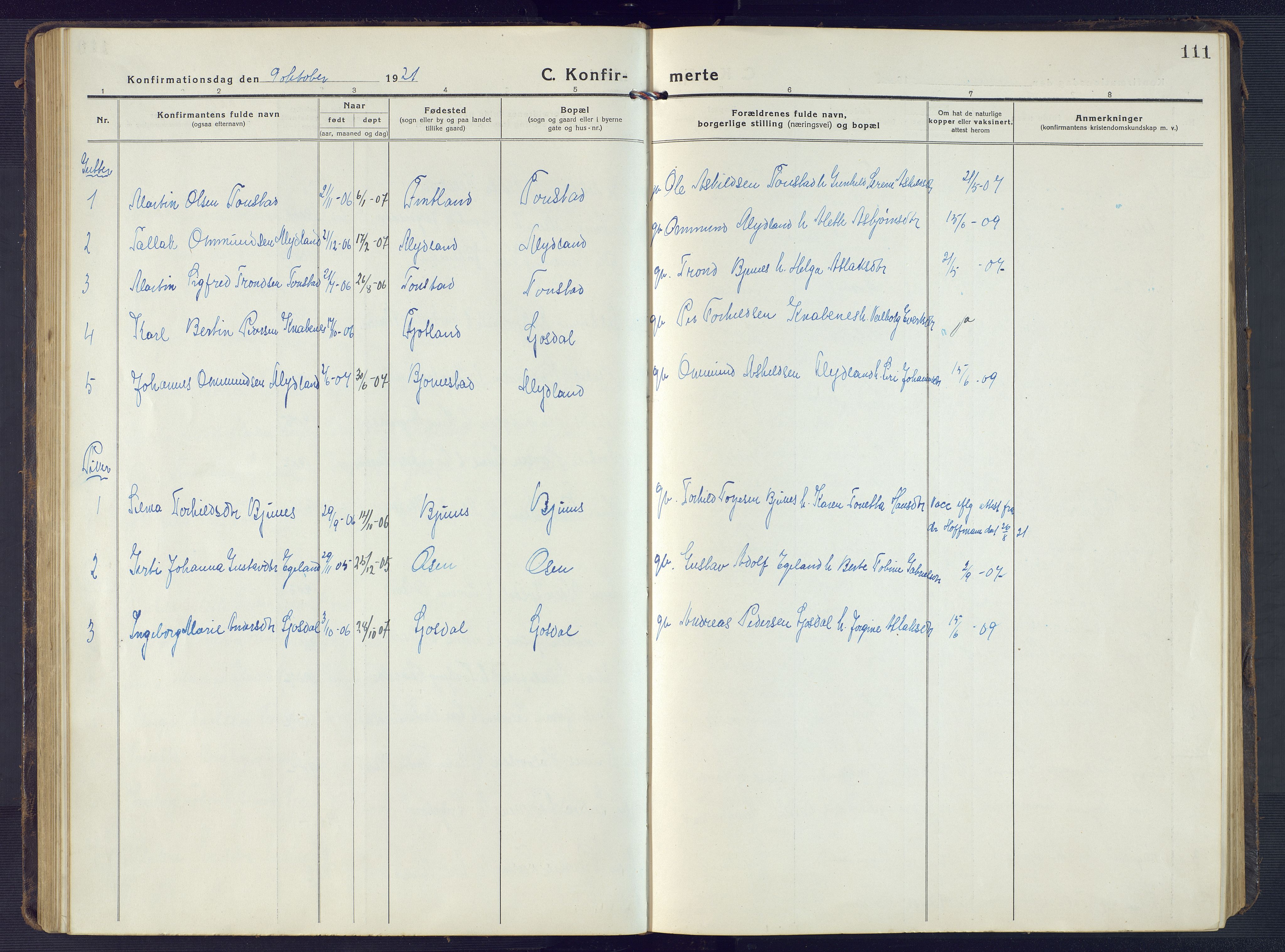 Sirdal sokneprestkontor, AV/SAK-1111-0036/F/Fb/Fbb/L0005: Parish register (copy) no. B 5, 1916-1960, p. 111