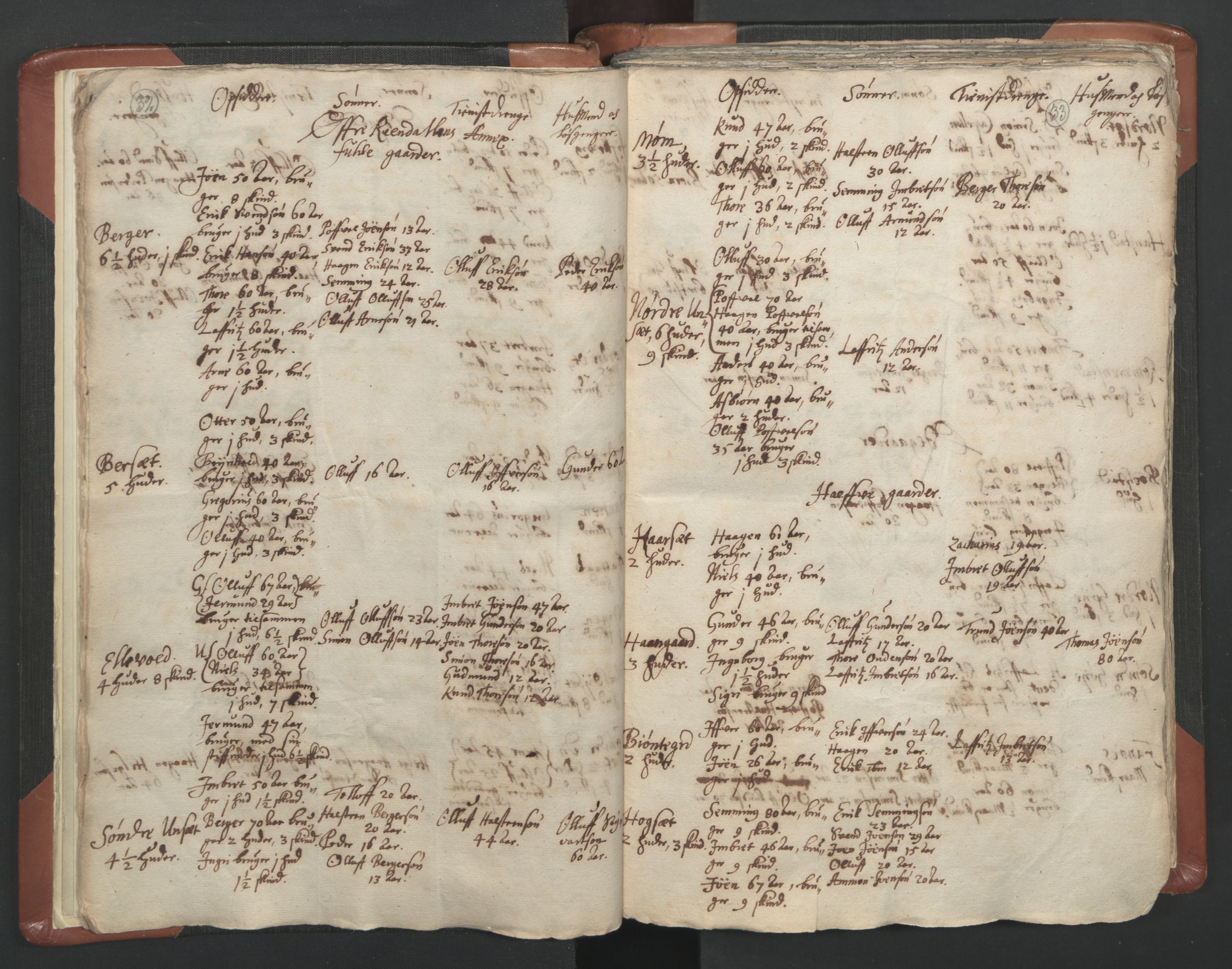 RA, Vicar's Census 1664-1666, no. 5: Hedmark deanery, 1664-1666, p. 32-33
