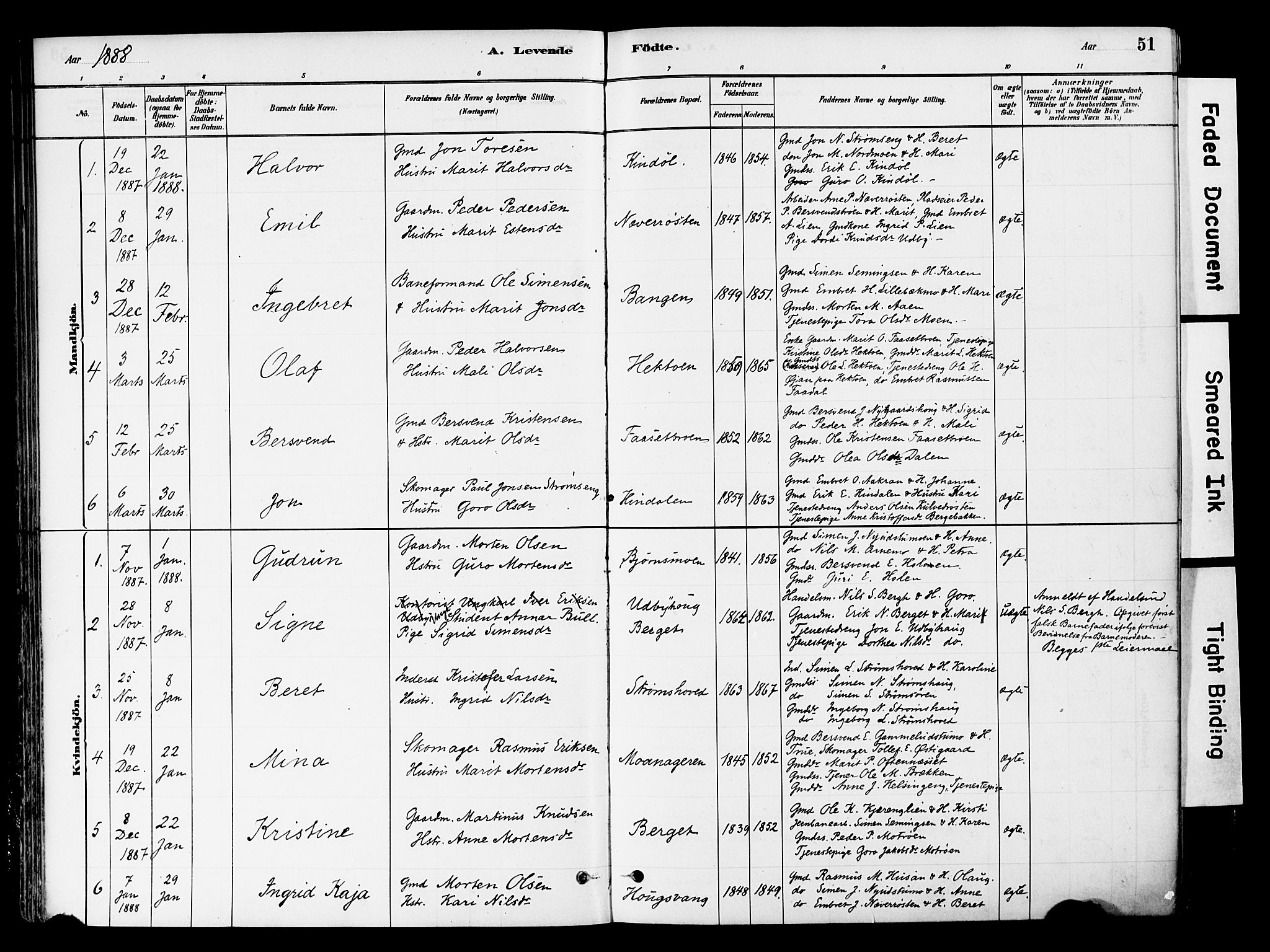 Tynset prestekontor, SAH/PREST-058/H/Ha/Haa/L0022: Parish register (official) no. 22, 1880-1899, p. 51
