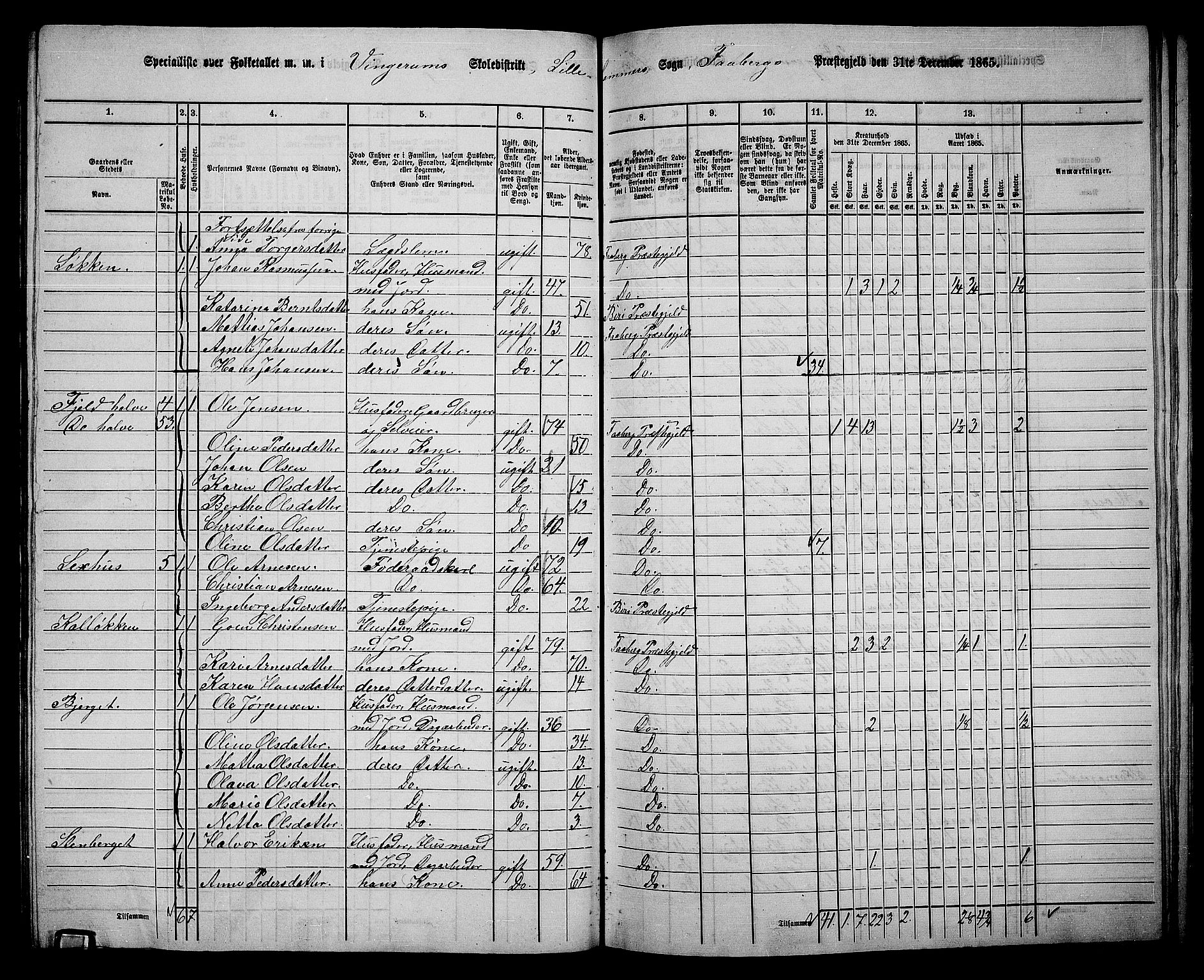 RA, 1865 census for Fåberg/Fåberg og Lillehammer, 1865, p. 160