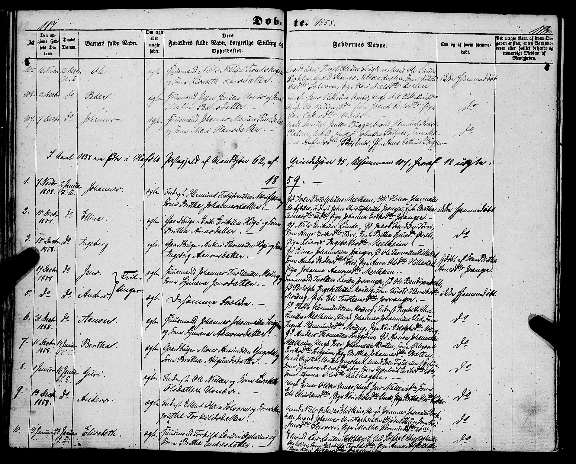 Hafslo sokneprestembete, AV/SAB-A-80301/H/Haa/Haaa/L0009: Parish register (official) no. A 9, 1852-1873, p. 117-118