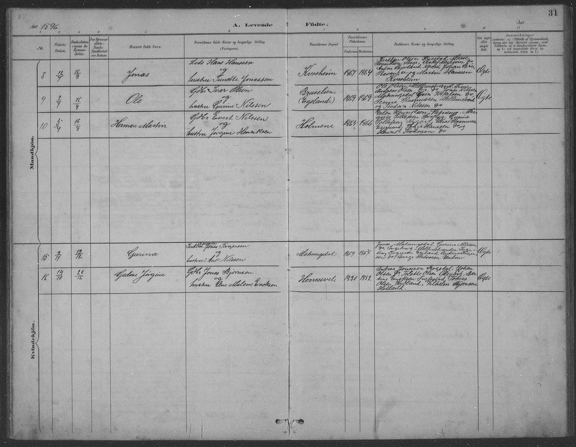 Eigersund sokneprestkontor, AV/SAST-A-101807/S09: Parish register (copy) no. B 21, 1890-1915, p. 31