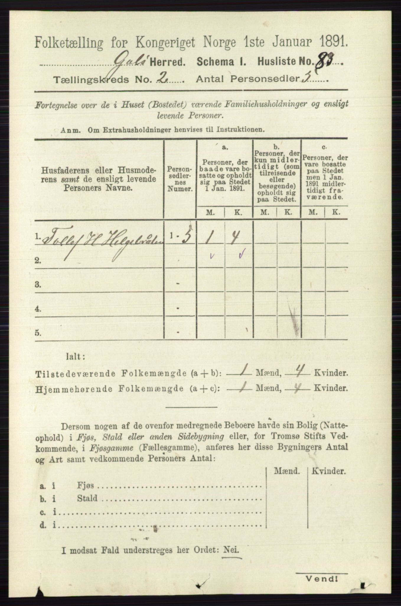 RA, 1891 census for 0617 Gol og Hemsedal, 1891, p. 708