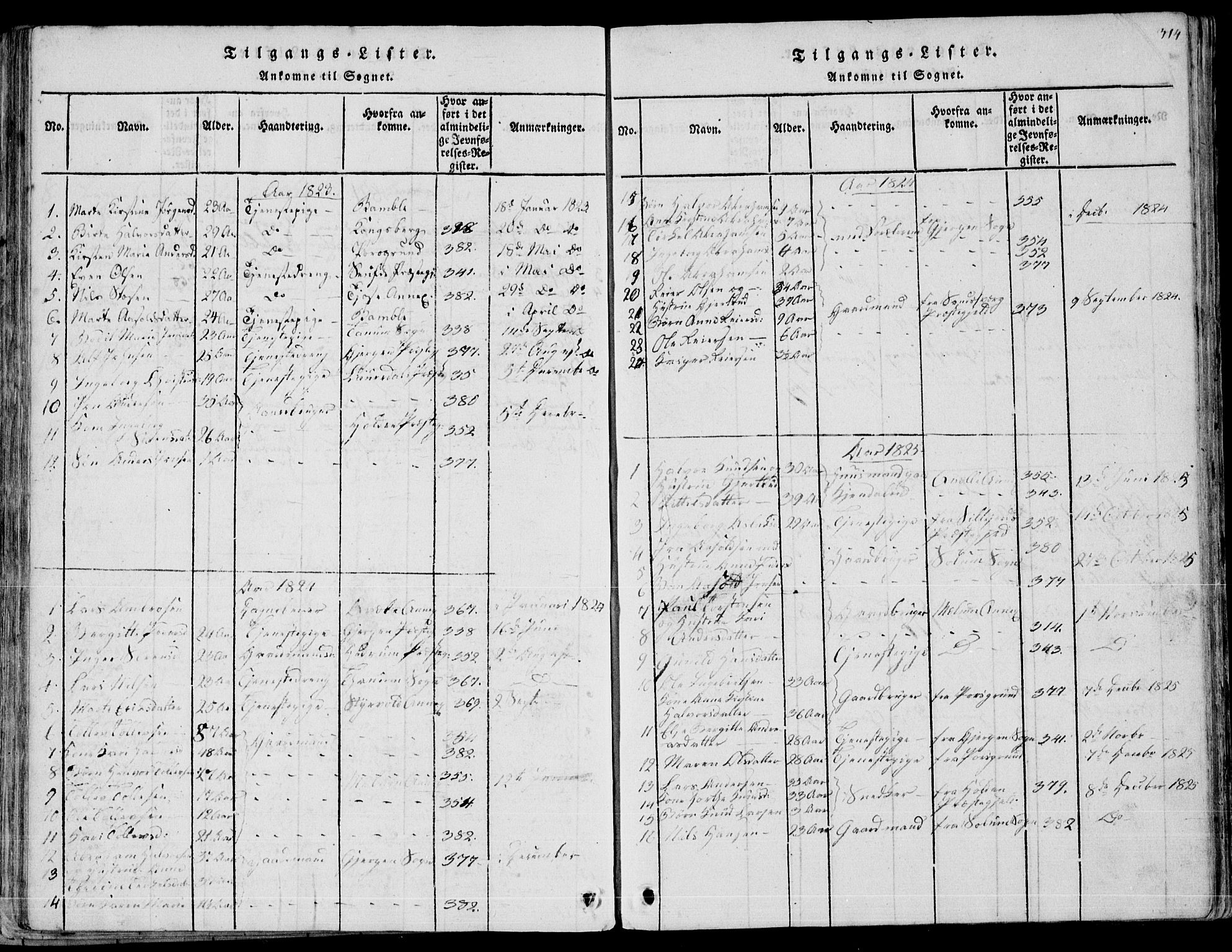 Eidanger kirkebøker, AV/SAKO-A-261/F/Fa/L0007: Parish register (official) no. 7, 1814-1831, p. 314