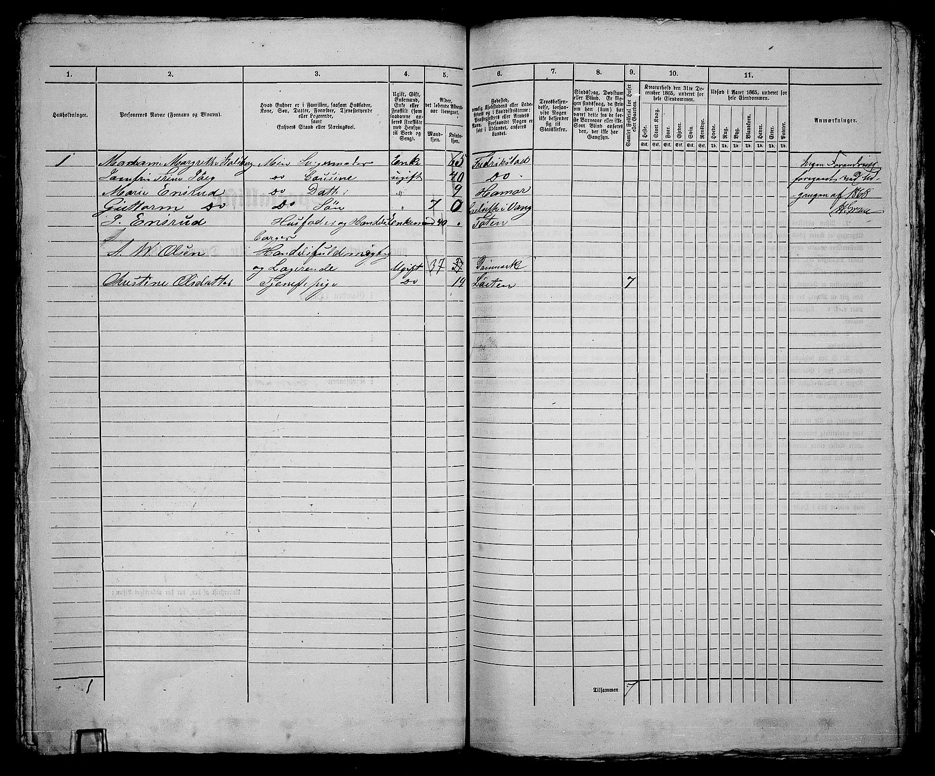 RA, 1865 census for Vang/Hamar, 1865, p. 172