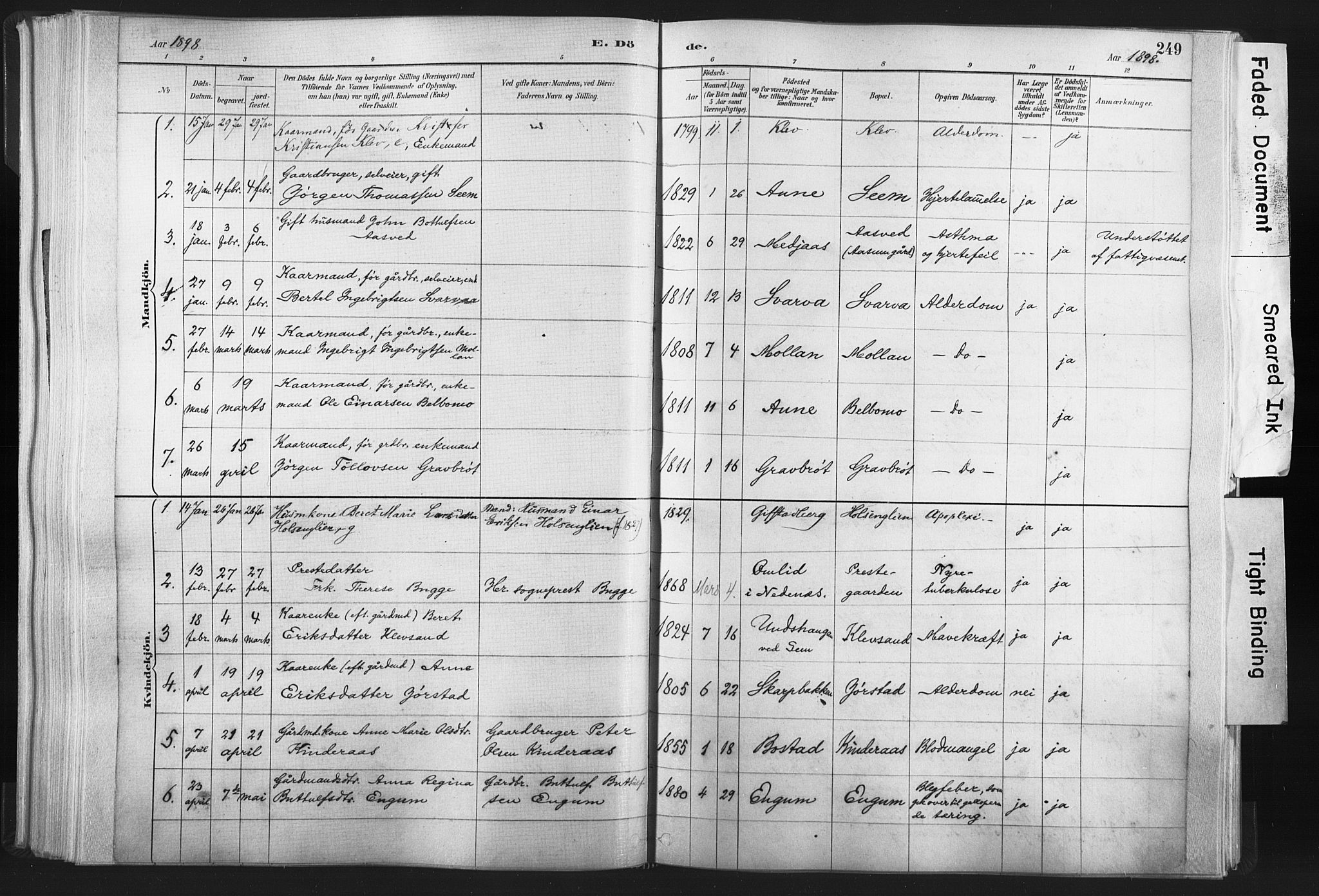Ministerialprotokoller, klokkerbøker og fødselsregistre - Nord-Trøndelag, SAT/A-1458/749/L0474: Parish register (official) no. 749A08, 1887-1903, p. 249