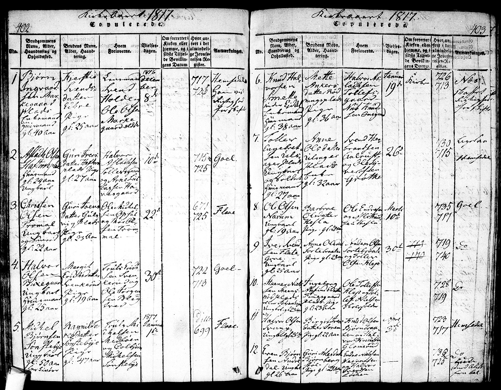 Nes kirkebøker, SAKO/A-236/F/Fa/L0007: Parish register (official) no. 7, 1815-1823, p. 402-403