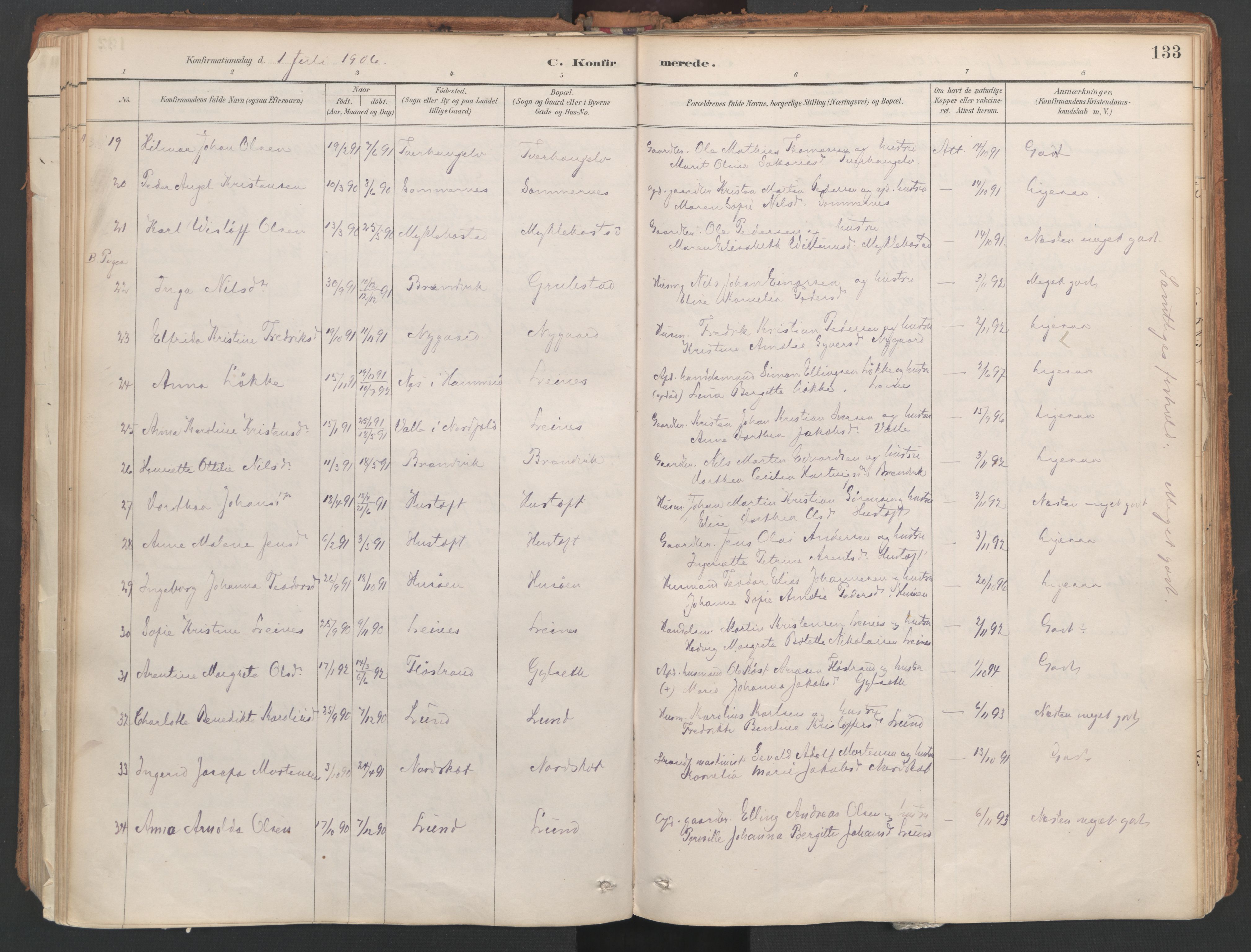 Ministerialprotokoller, klokkerbøker og fødselsregistre - Nordland, AV/SAT-A-1459/857/L0822: Parish register (official) no. 857A02, 1890-1917, p. 133