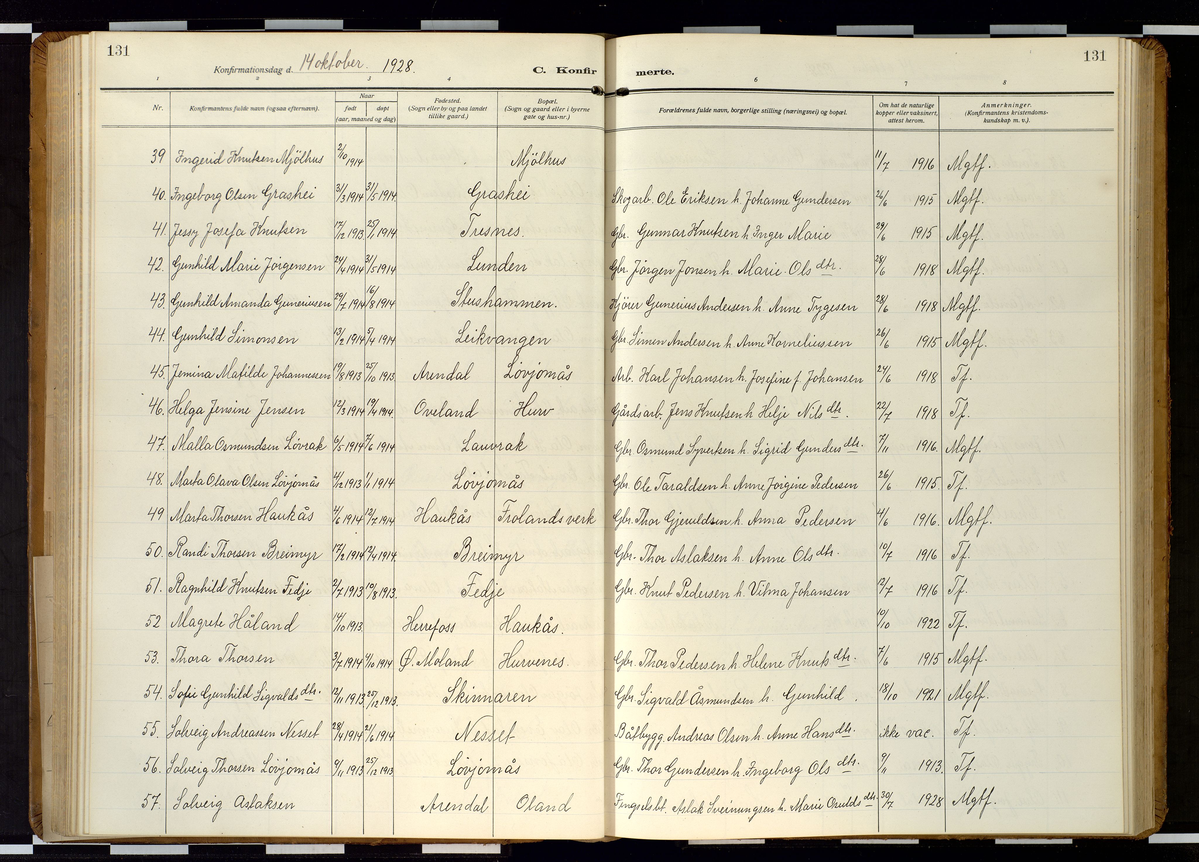 Froland sokneprestkontor, AV/SAK-1111-0013/F/Fb/L0011: Parish register (copy) no. B 11, 1921-1947, p. 131