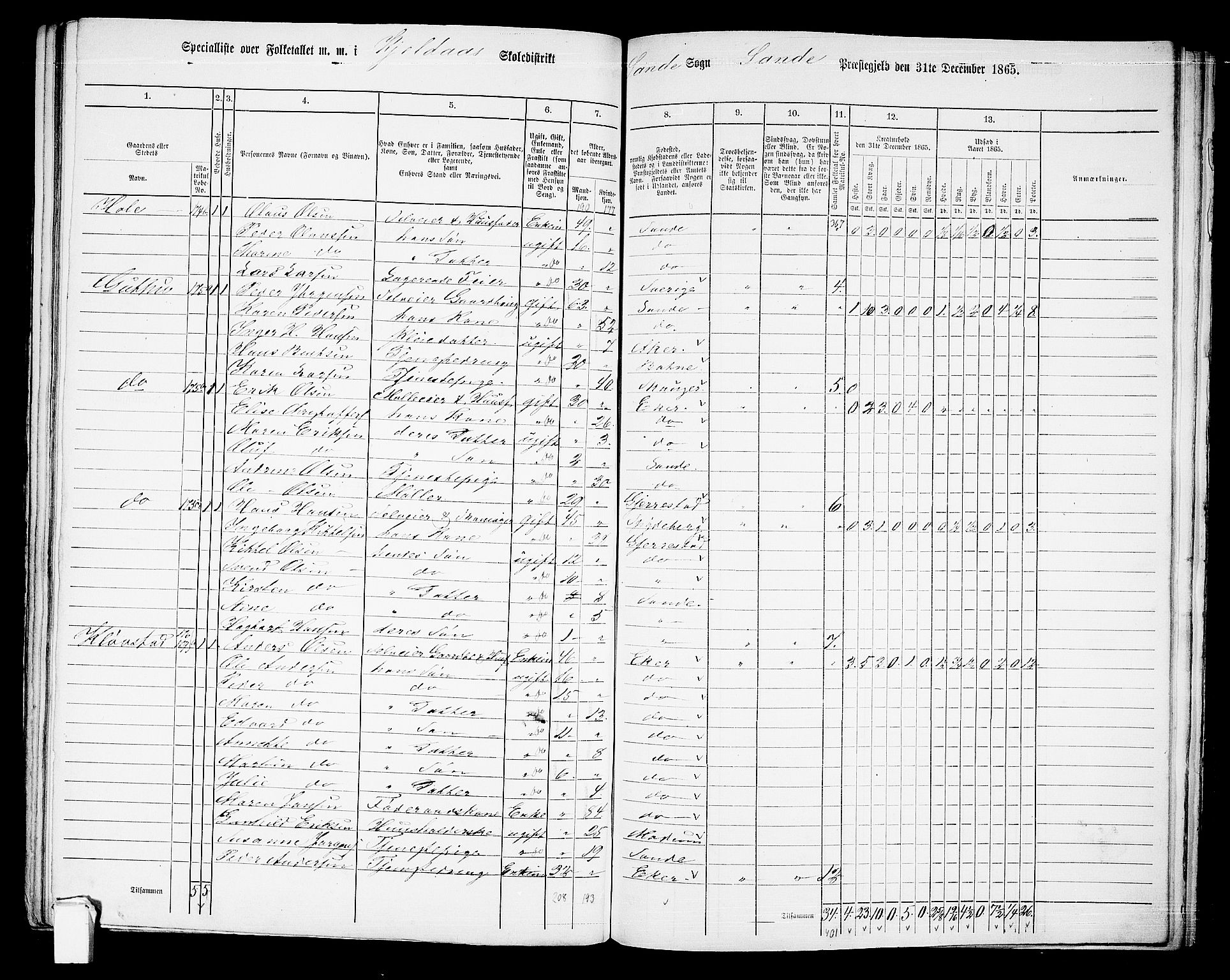 RA, 1865 census for Sande, 1865, p. 101