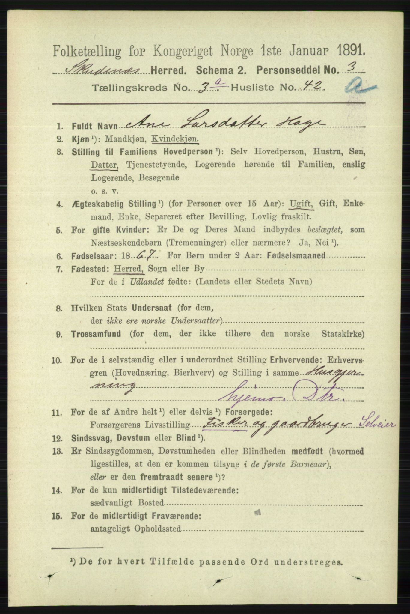 RA, 1891 census for 1150 Skudenes, 1891, p. 1606