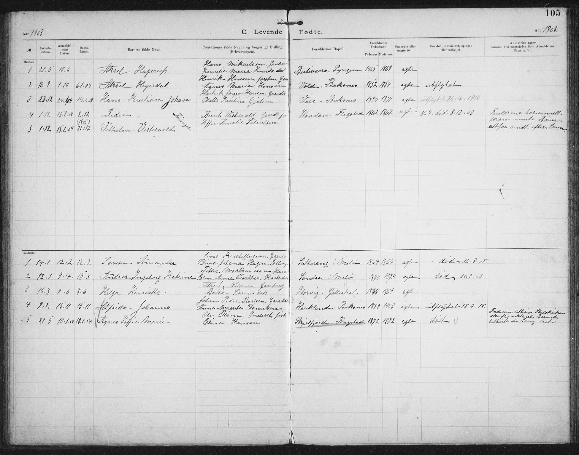 Ministerialprotokoller, klokkerbøker og fødselsregistre - Nordland, SAT/A-1459/881/L1174: Dissenter register no. 881D01, 1891-1933, p. 105