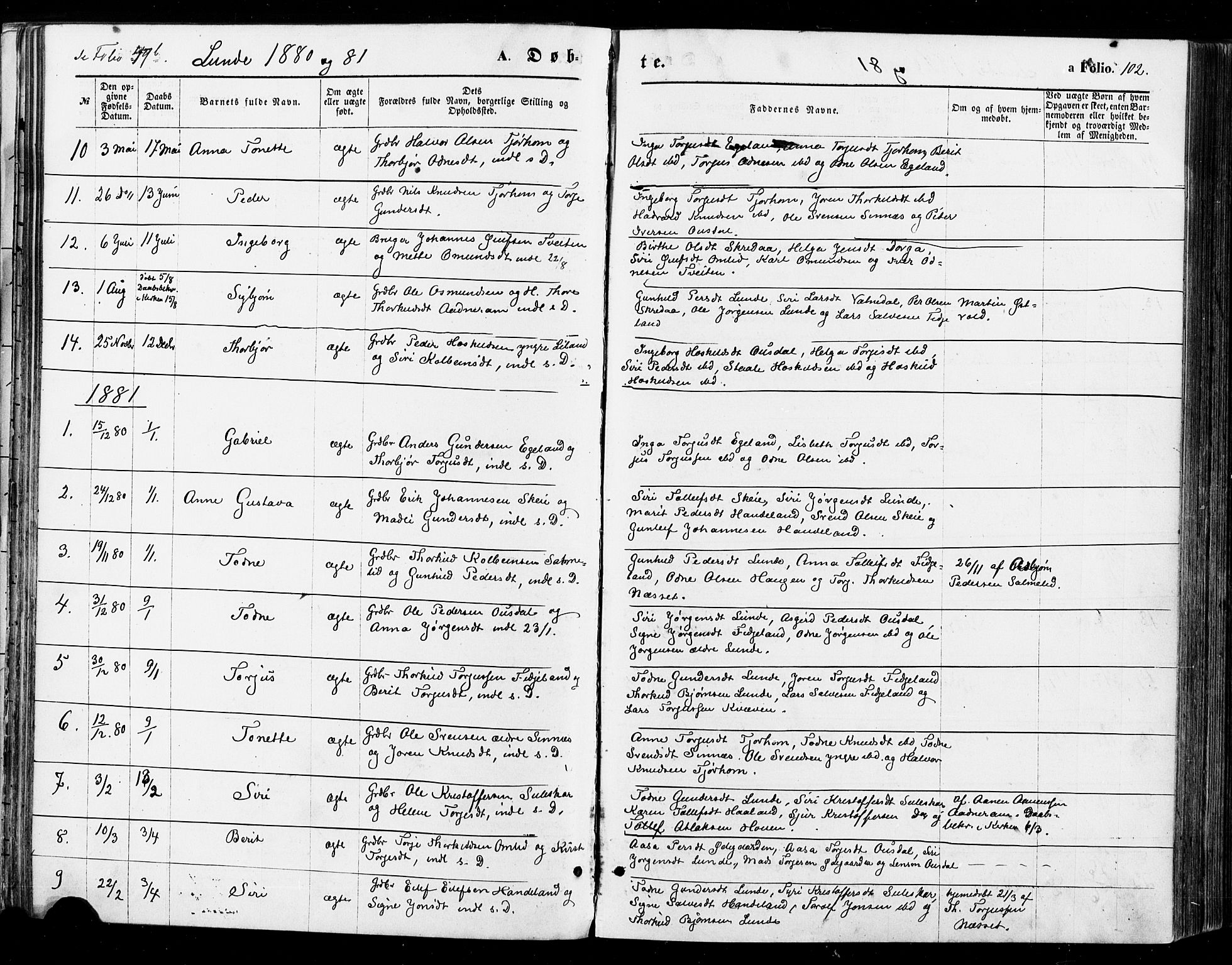 Sirdal sokneprestkontor, AV/SAK-1111-0036/F/Fa/Fab/L0003: Parish register (official) no. A 3, 1874-1886, p. 102