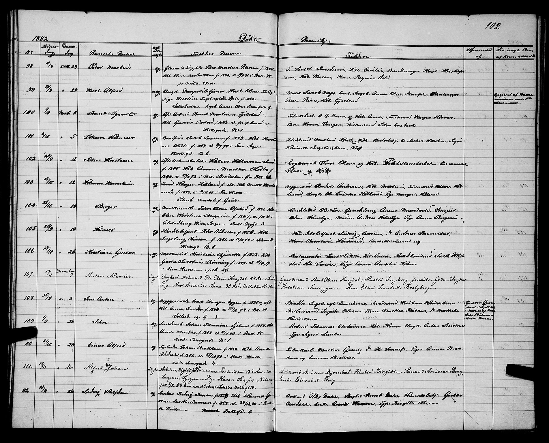 Ministerialprotokoller, klokkerbøker og fødselsregistre - Sør-Trøndelag, SAT/A-1456/604/L0220: Parish register (copy) no. 604C03, 1870-1885, p. 102