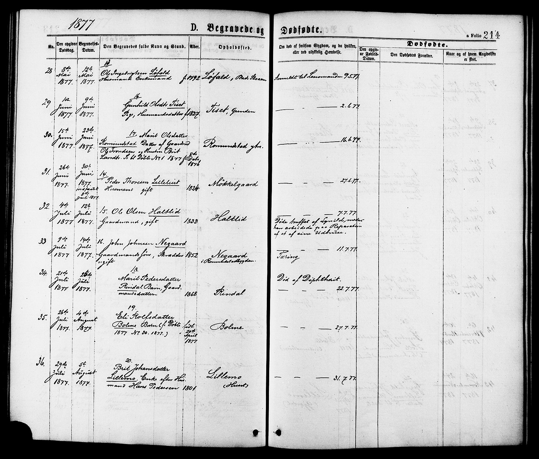 Ministerialprotokoller, klokkerbøker og fødselsregistre - Møre og Romsdal, AV/SAT-A-1454/598/L1068: Parish register (official) no. 598A02, 1872-1881, p. 214