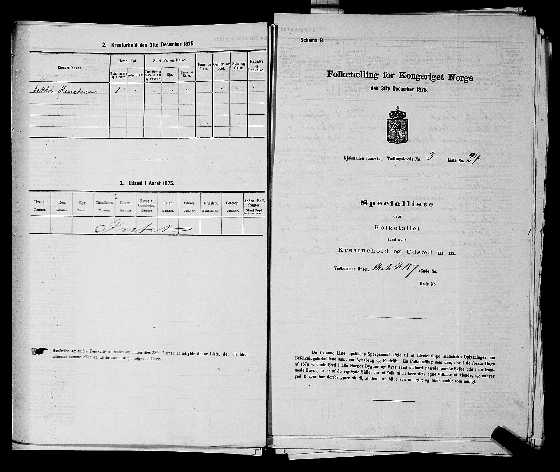 SAKO, 1875 census for 0707P Larvik, 1875, p. 562