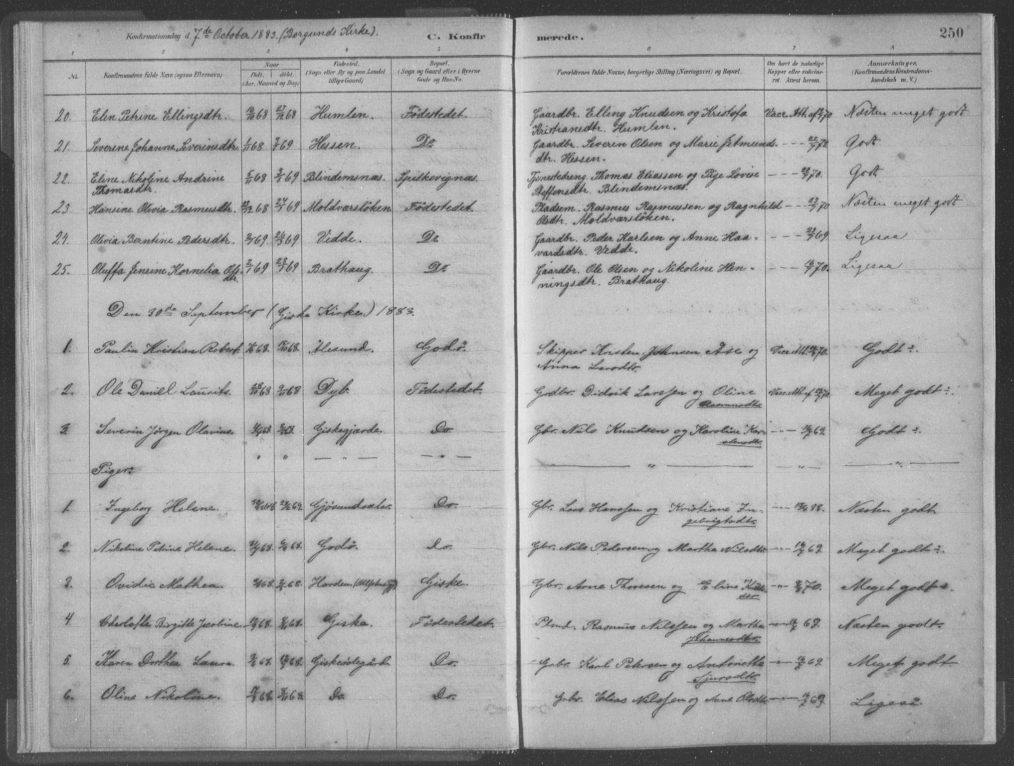 Ministerialprotokoller, klokkerbøker og fødselsregistre - Møre og Romsdal, AV/SAT-A-1454/528/L0402: Parish register (official) no. 528A12II, 1880-1903, p. 250