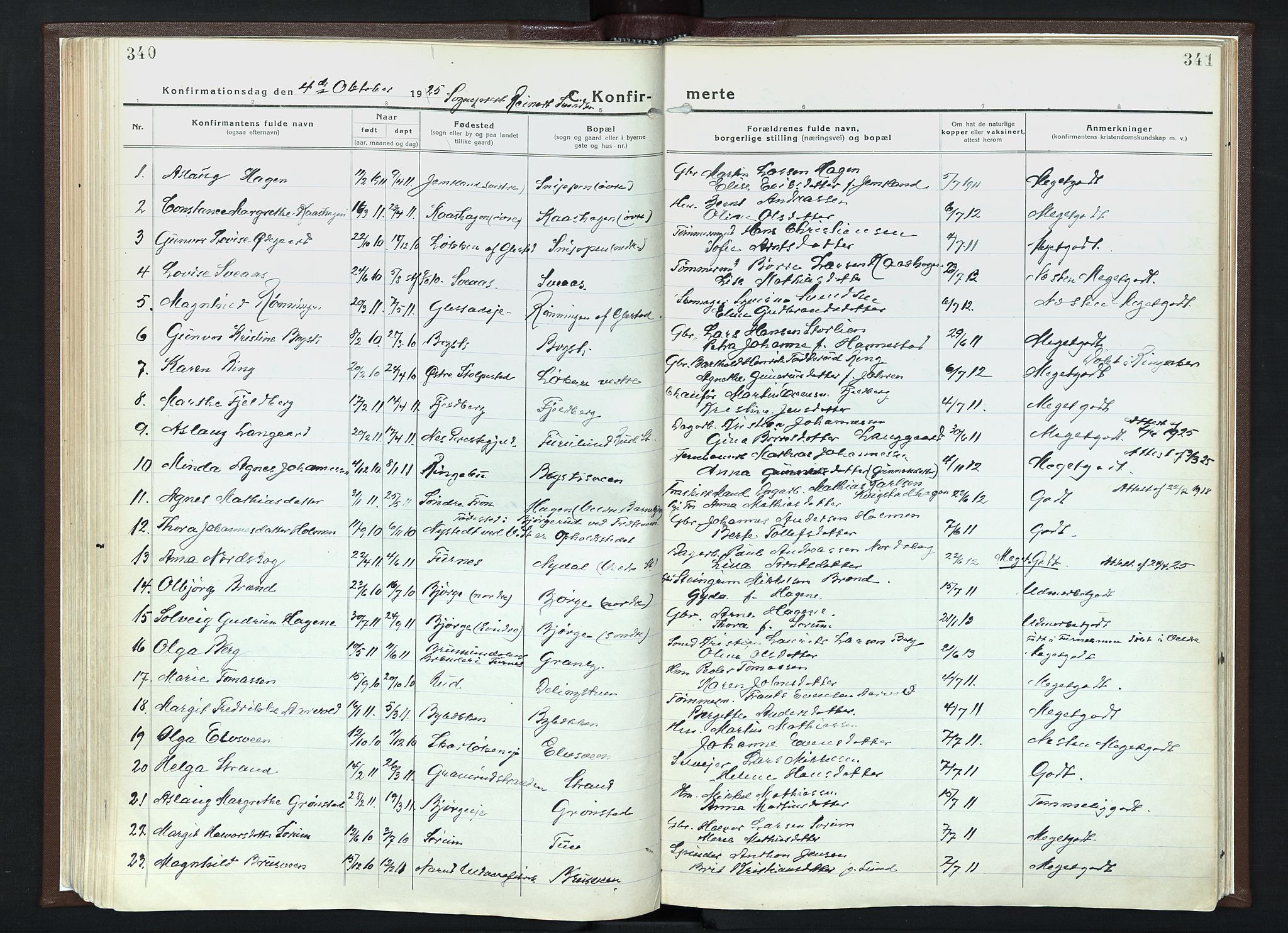 Veldre prestekontor, AV/SAH-PREST-018/K/Ka/L0001: Parish register (official) no. 1, 1921-1934, p. 340-341