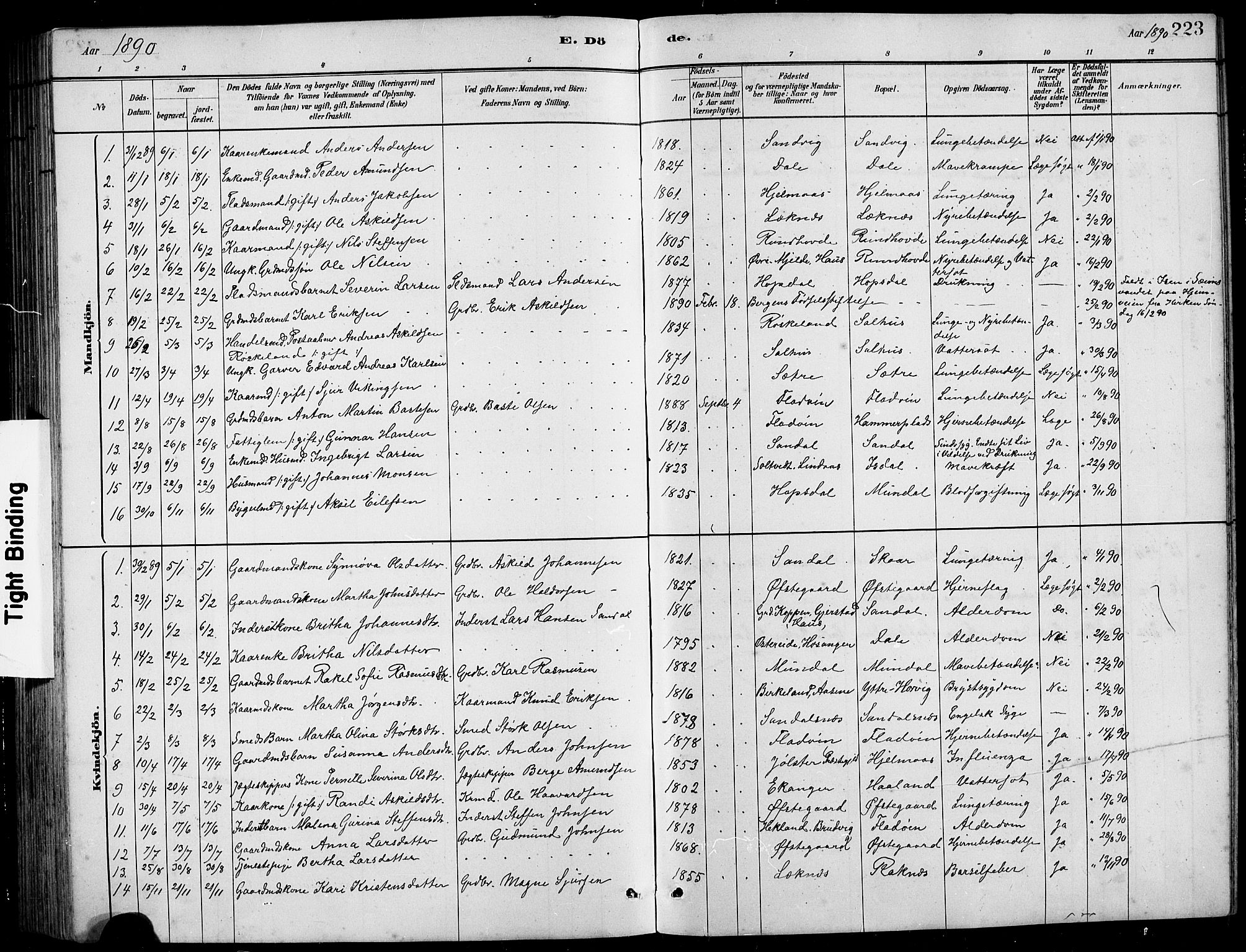 Hamre sokneprestembete, SAB/A-75501/H/Ha/Hab: Parish register (copy) no. B 3, 1881-1898, p. 223