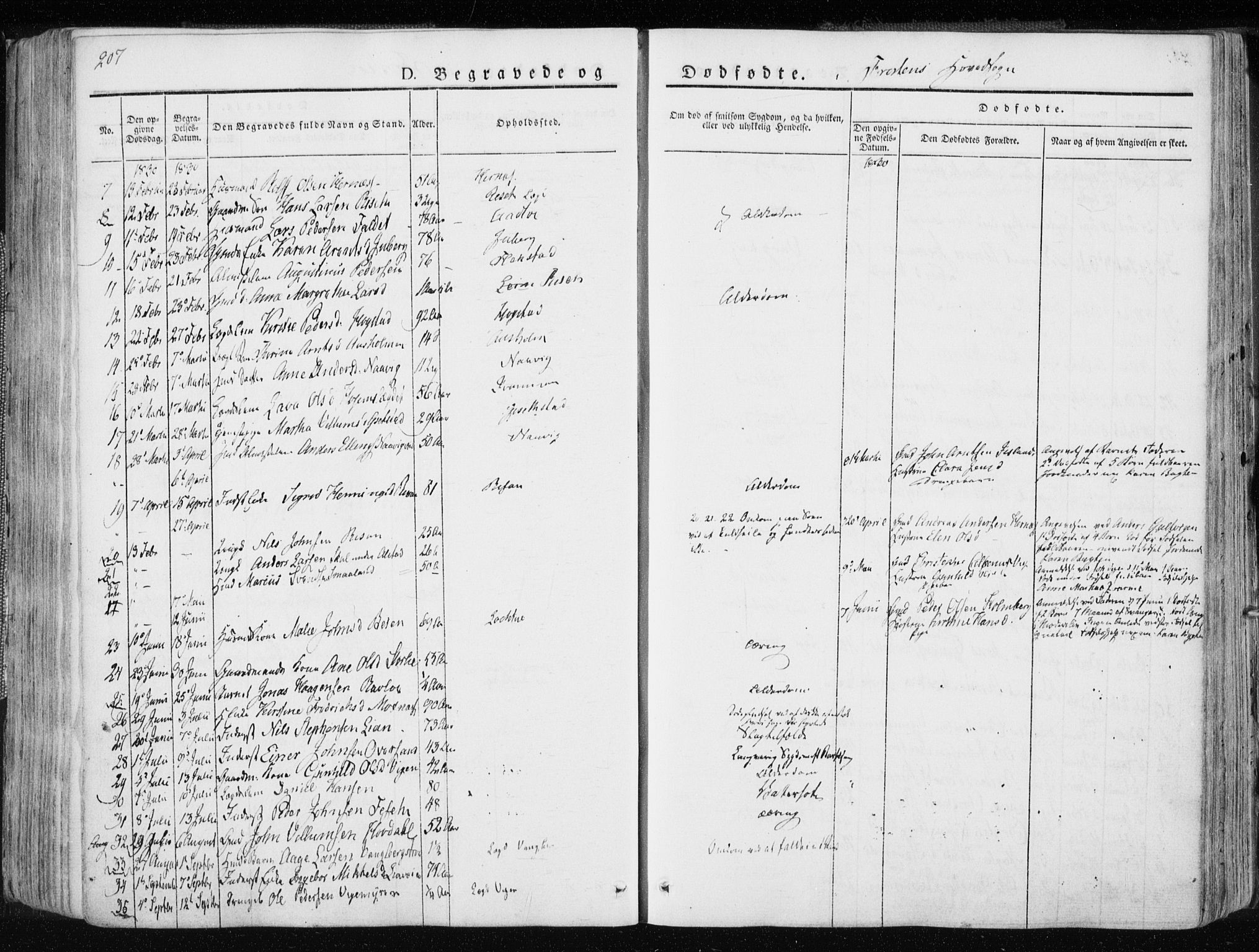 Ministerialprotokoller, klokkerbøker og fødselsregistre - Nord-Trøndelag, SAT/A-1458/713/L0114: Parish register (official) no. 713A05, 1827-1839, p. 207
