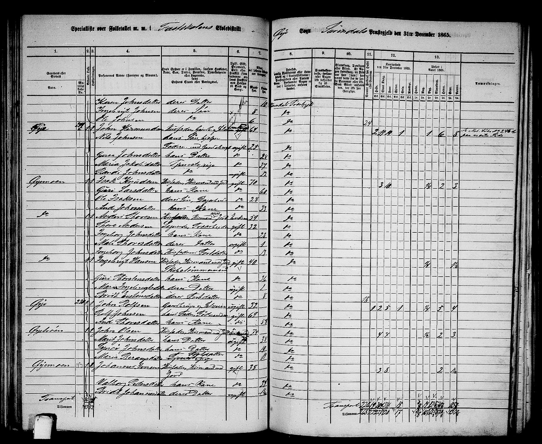 RA, 1865 census for Surnadal, 1865, p. 118