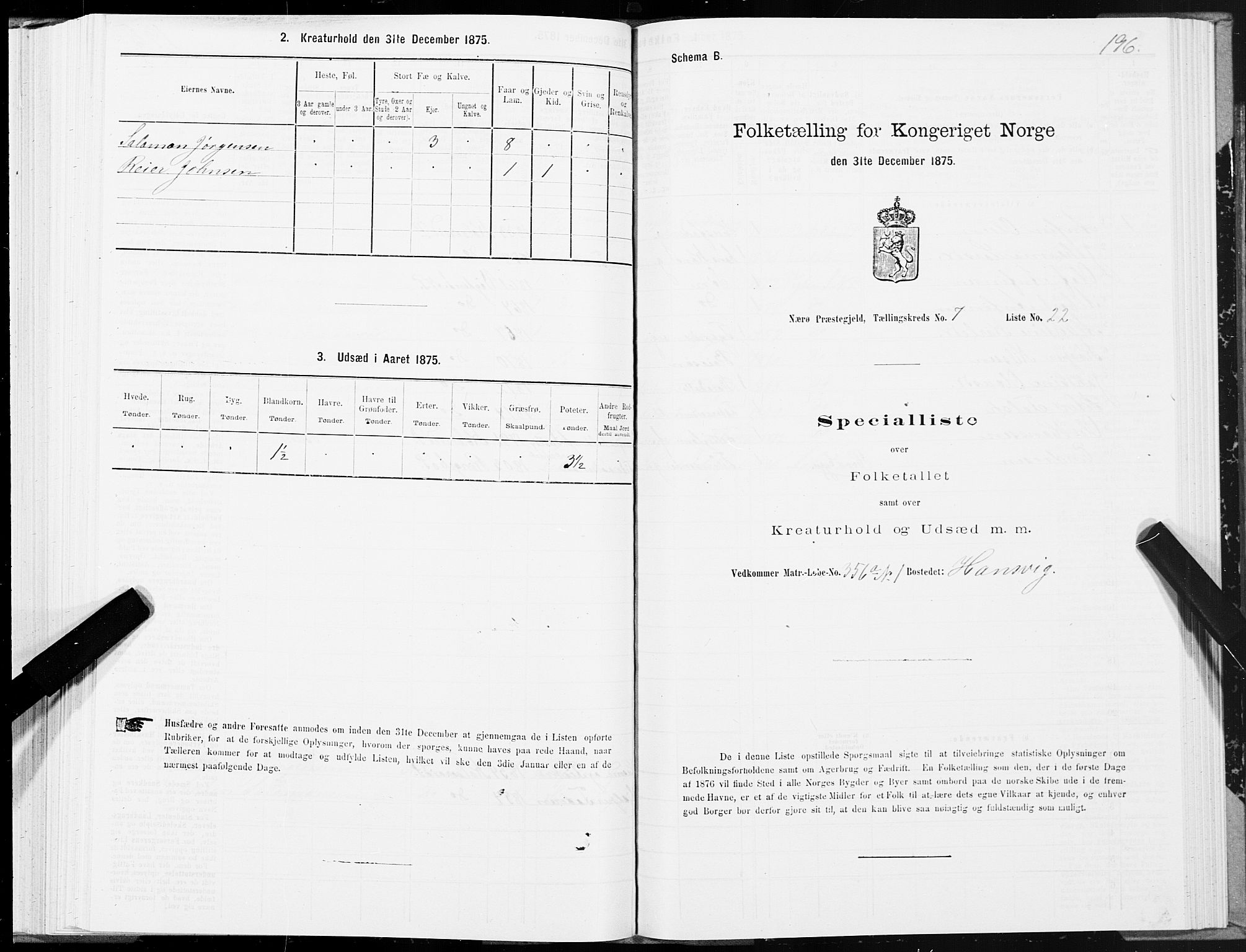 SAT, 1875 census for 1751P Nærøy, 1875, p. 3196