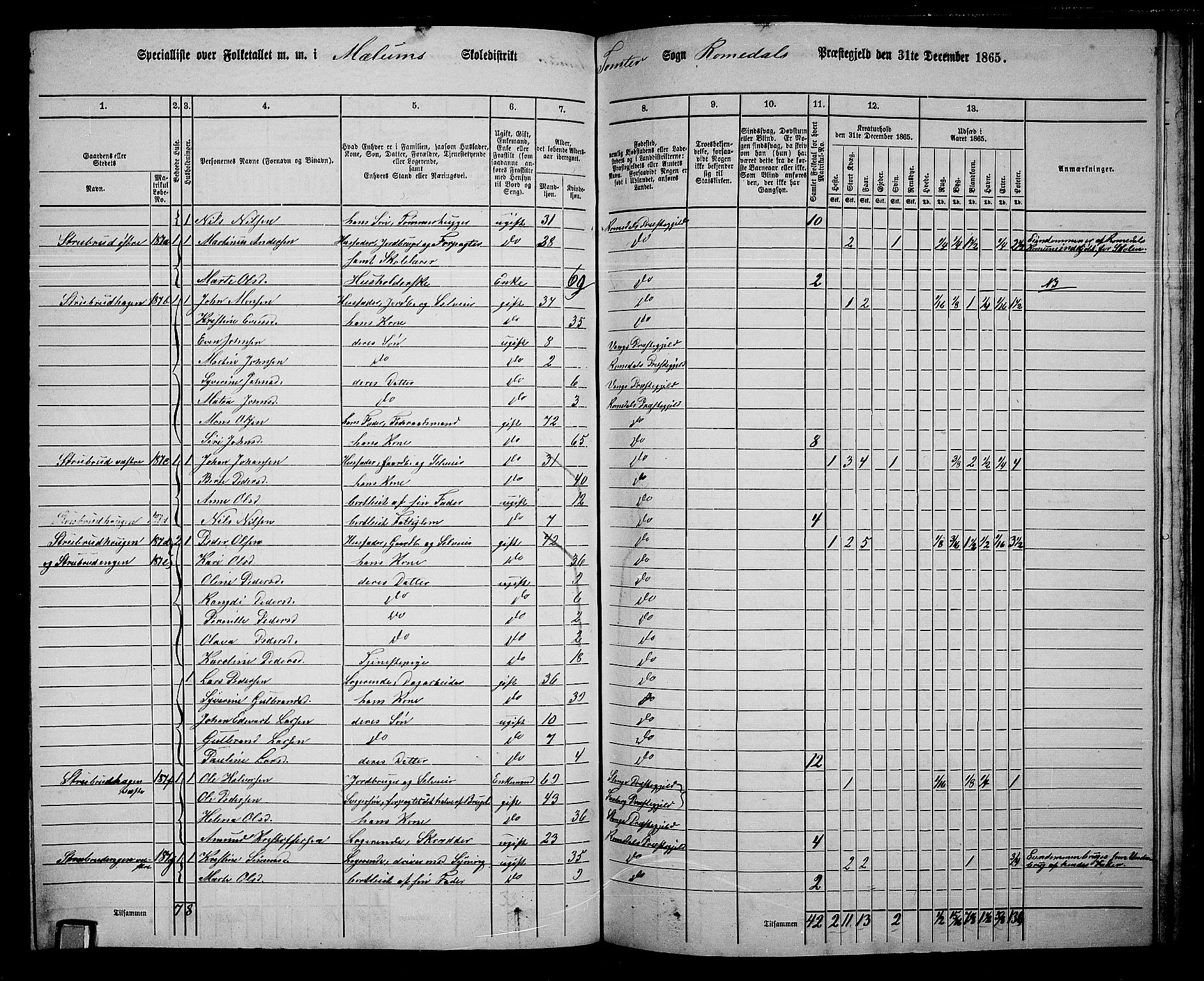 RA, 1865 census for Romedal, 1865, p. 158