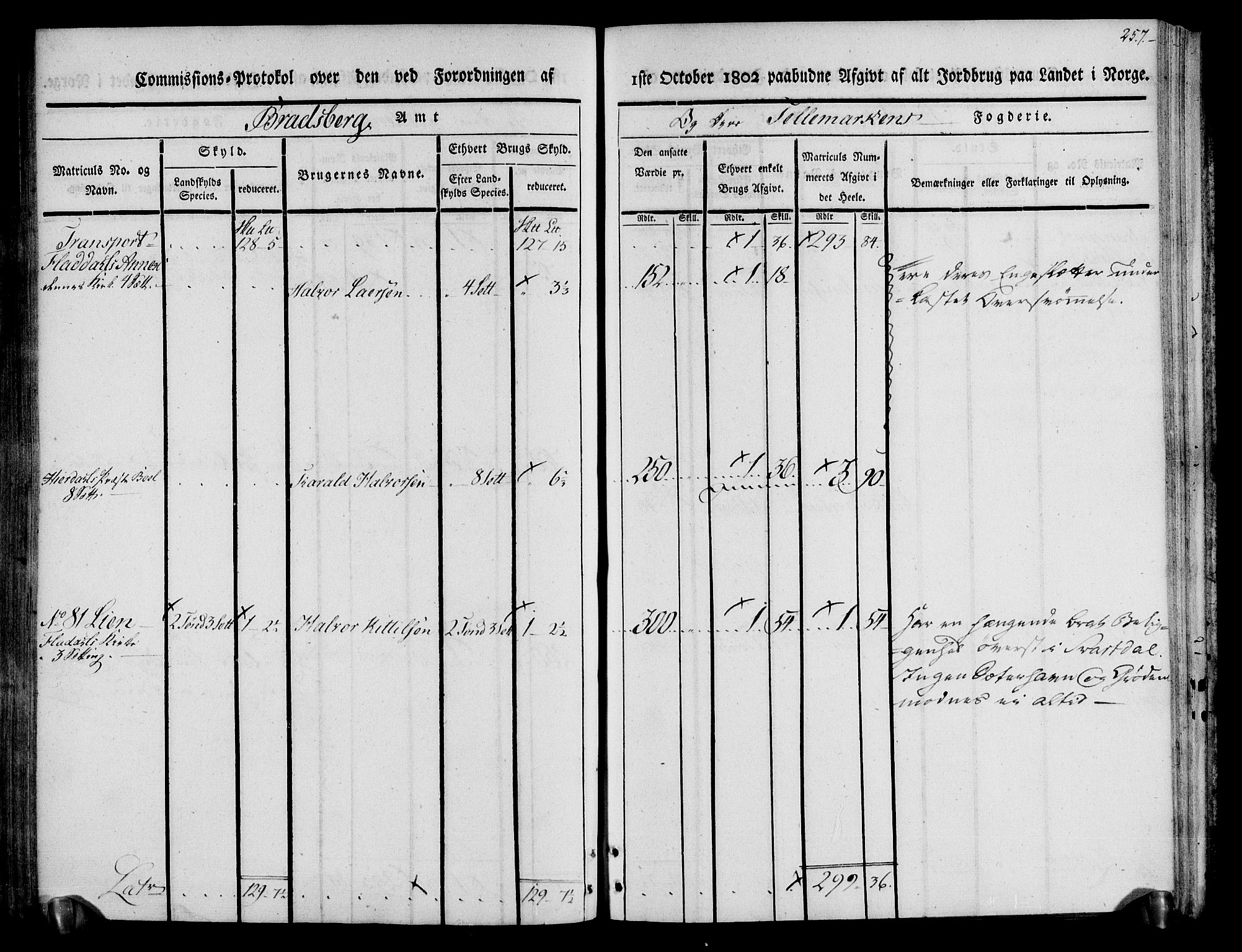 Rentekammeret inntil 1814, Realistisk ordnet avdeling, AV/RA-EA-4070/N/Ne/Nea/L0074: Øvre Telemarken fogderi. Kommisjonsprotokoll for fogderiets østre del - Tinn, Hjartdal og Seljord prestegjeld., 1803, p. 257