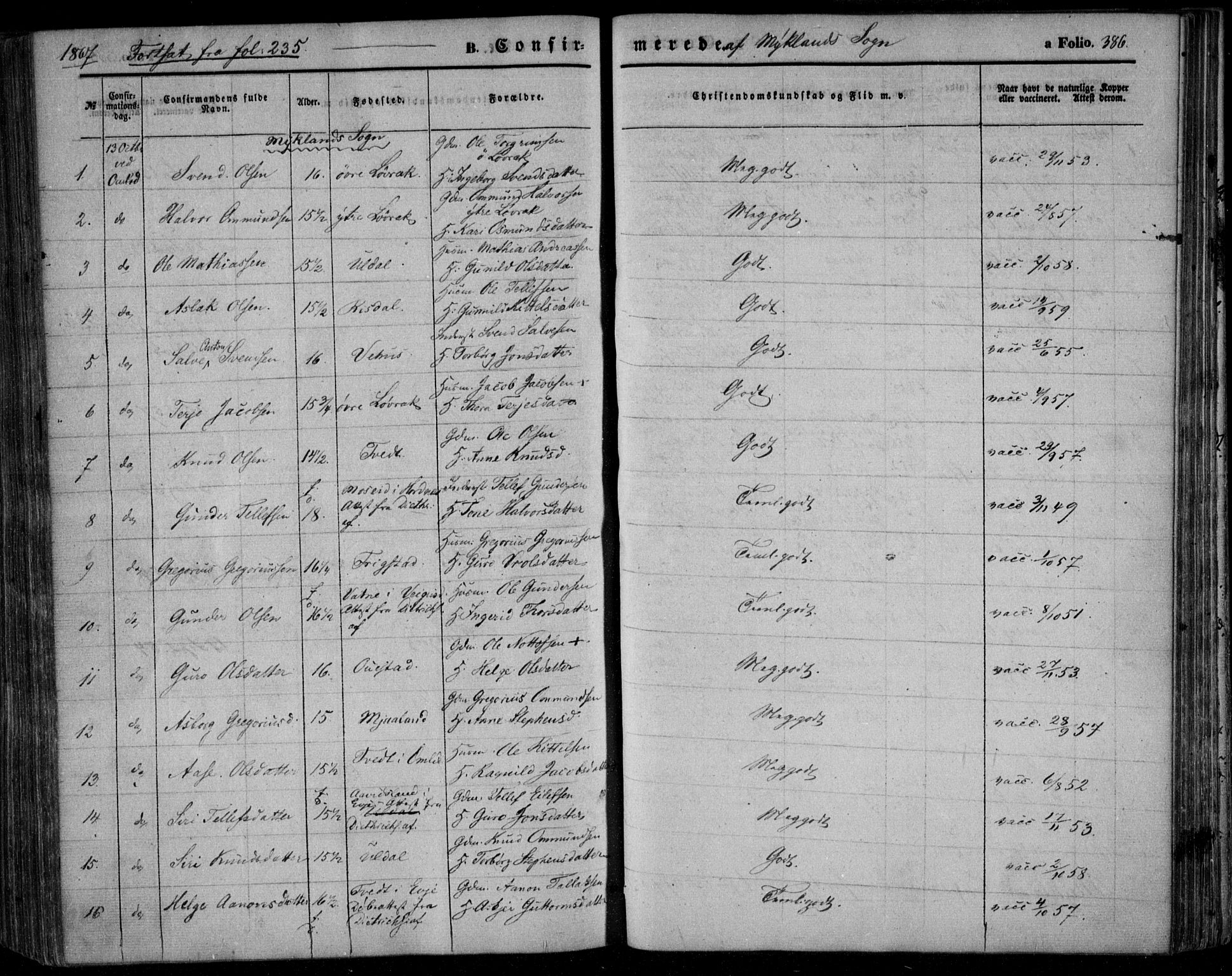 Åmli sokneprestkontor, AV/SAK-1111-0050/F/Fa/Fac/L0008: Parish register (official) no. A 8, 1852-1869, p. 386