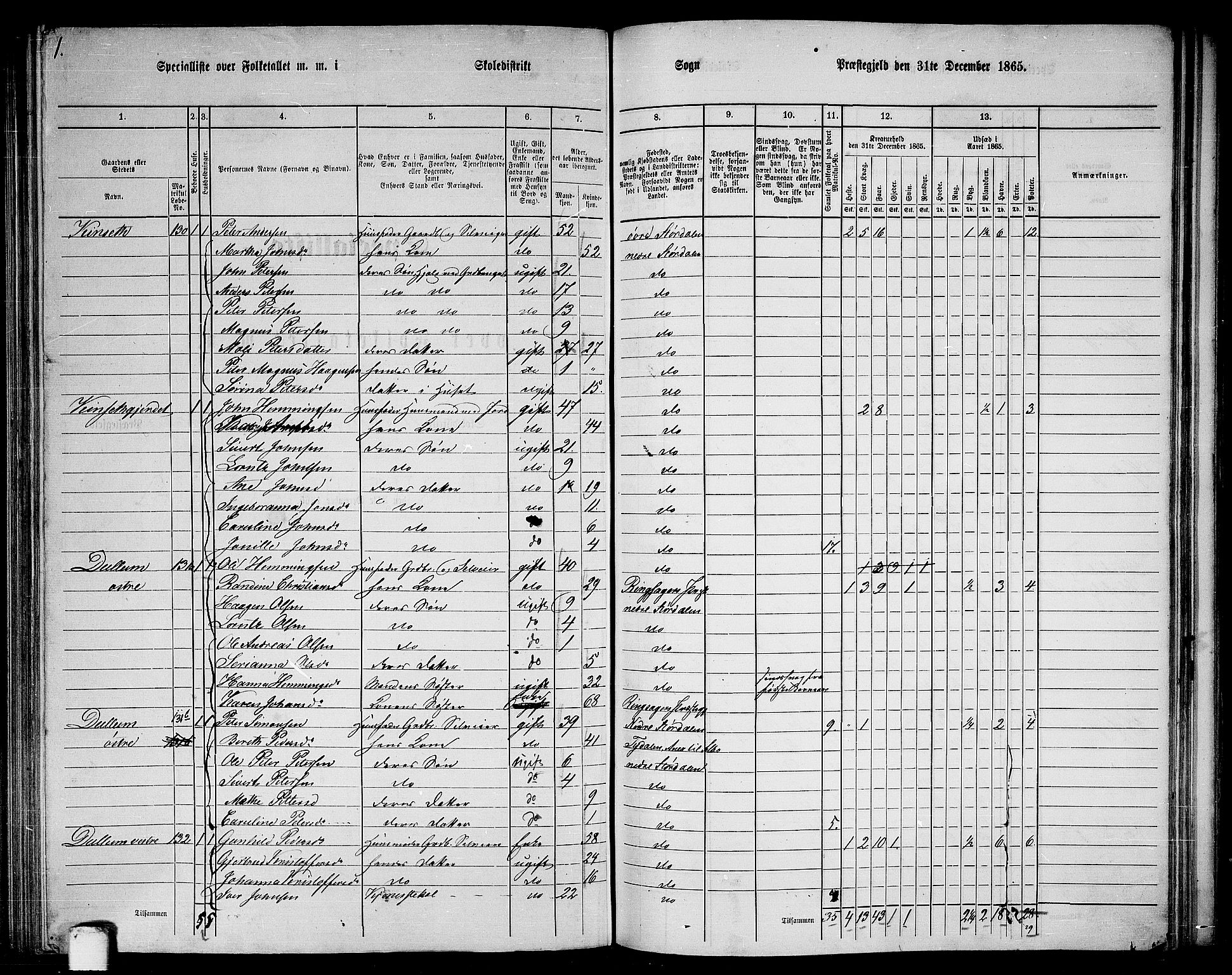 RA, 1865 census for Nedre Stjørdal, 1865, p. 176