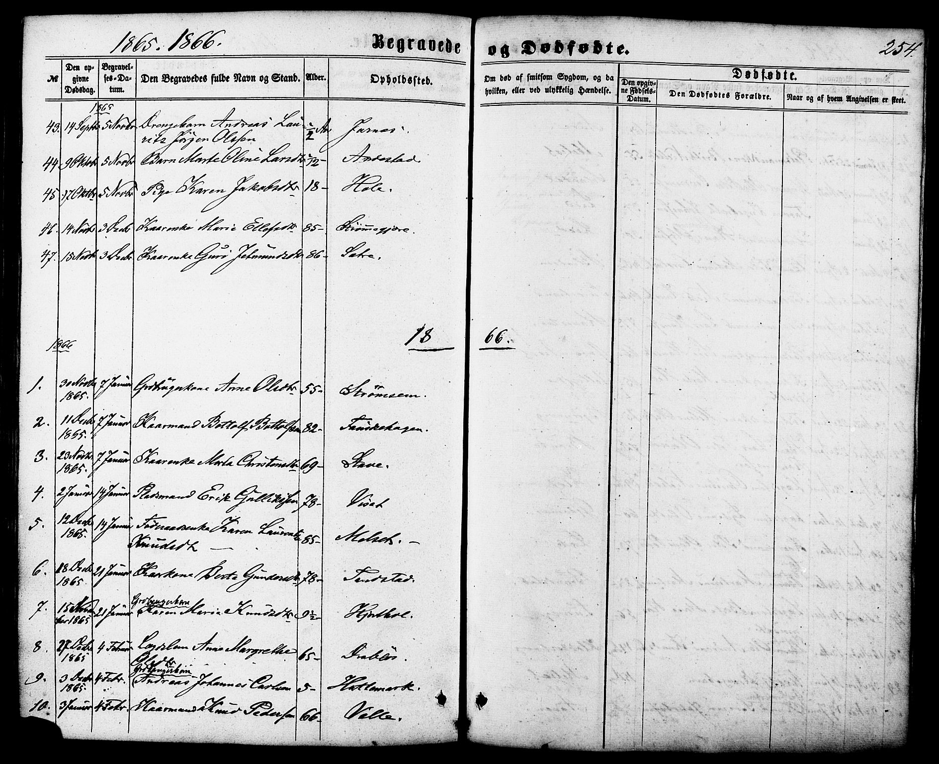 Ministerialprotokoller, klokkerbøker og fødselsregistre - Møre og Romsdal, AV/SAT-A-1454/522/L0314: Parish register (official) no. 522A09, 1863-1877, p. 254